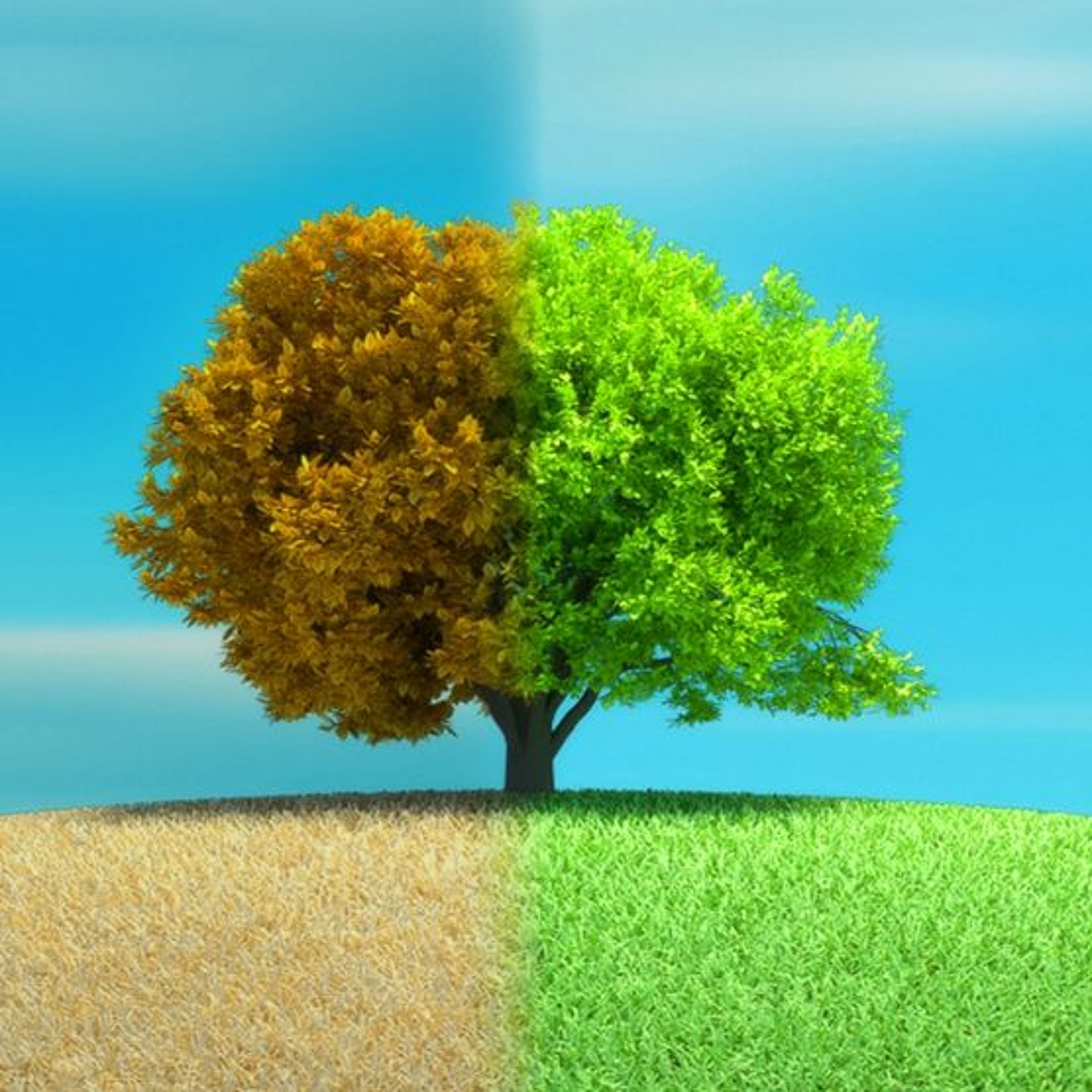 The Sustainable Century