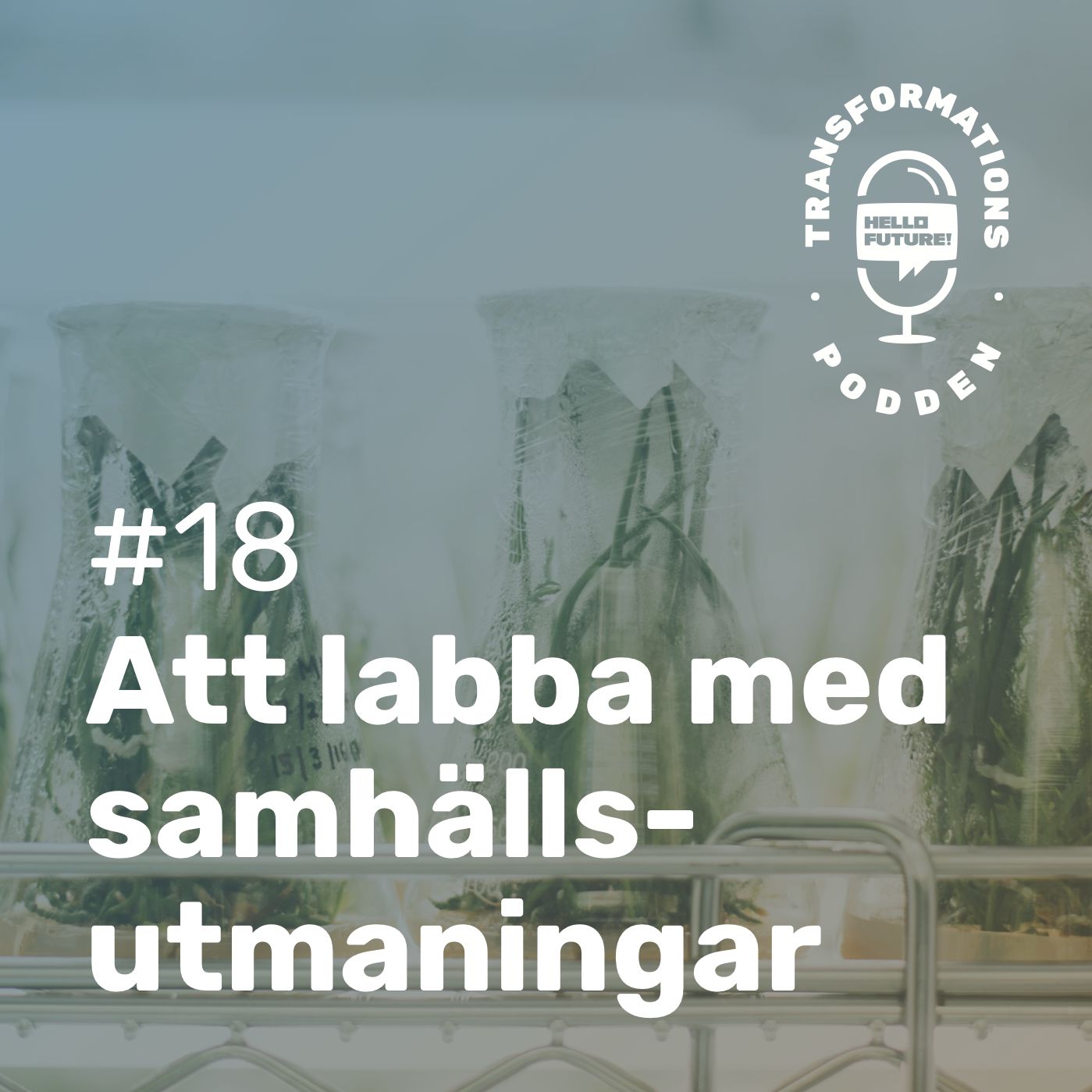 #18 - Att labba med samhällsutmaningar