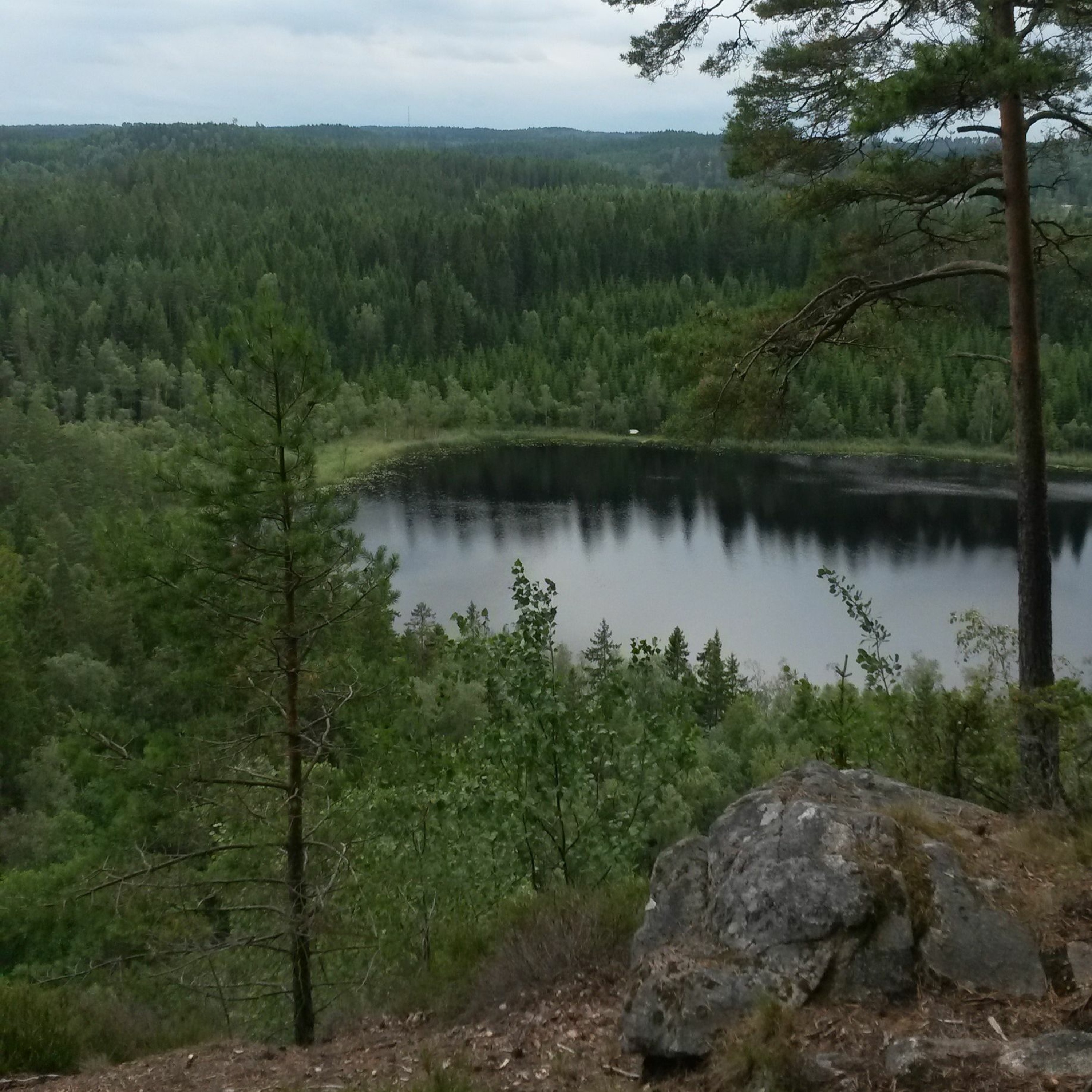 De vette spörs! Vängapodden