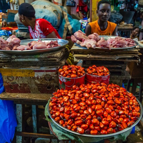 Accion's Michael Schlein on Financial Inclusion, Fintech & Impact Investment Sceptics