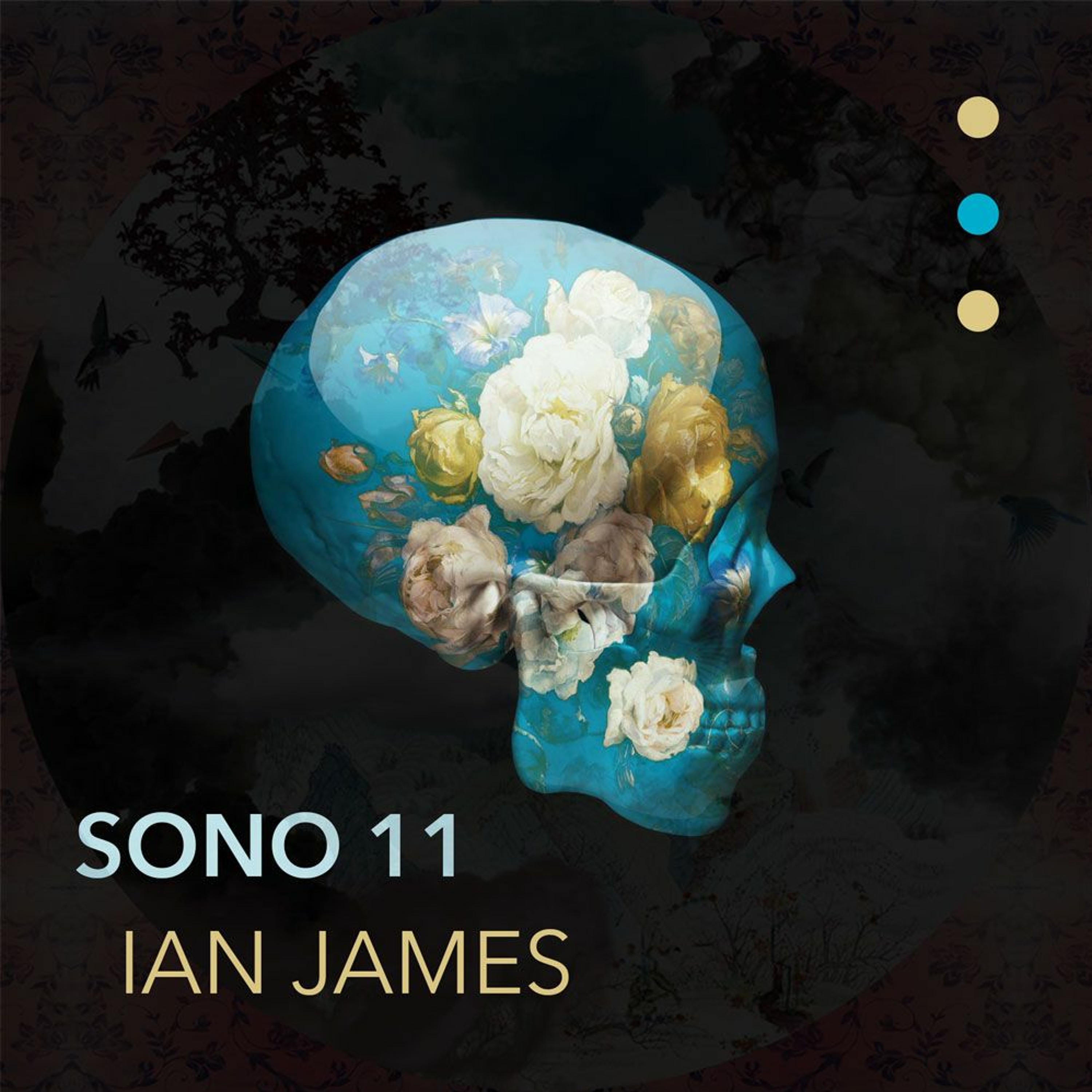 SONO 11 - Part 1