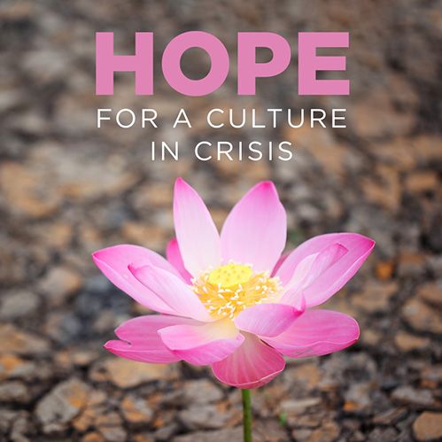 Free From guilt // John Groves