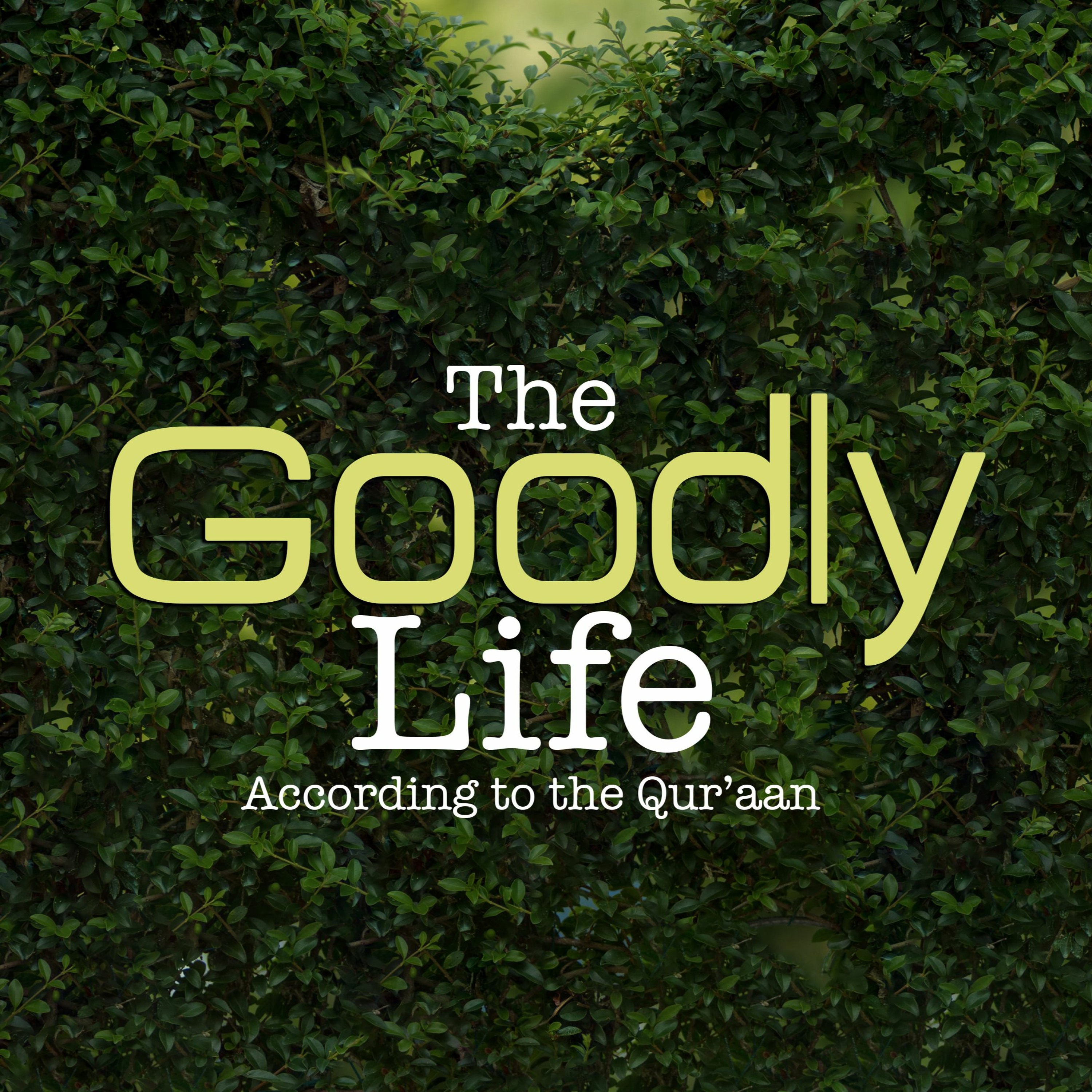 The Goodly Life According to the Qur'aan - Lesson 5
