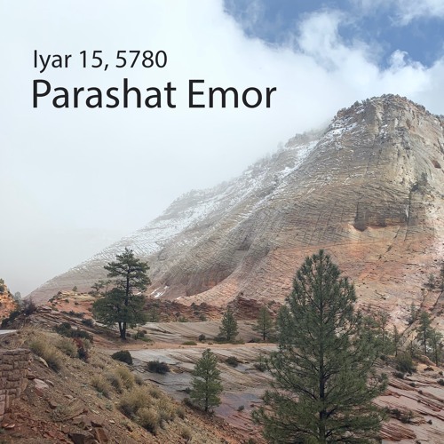 AE: Torah for the Earth - Emor