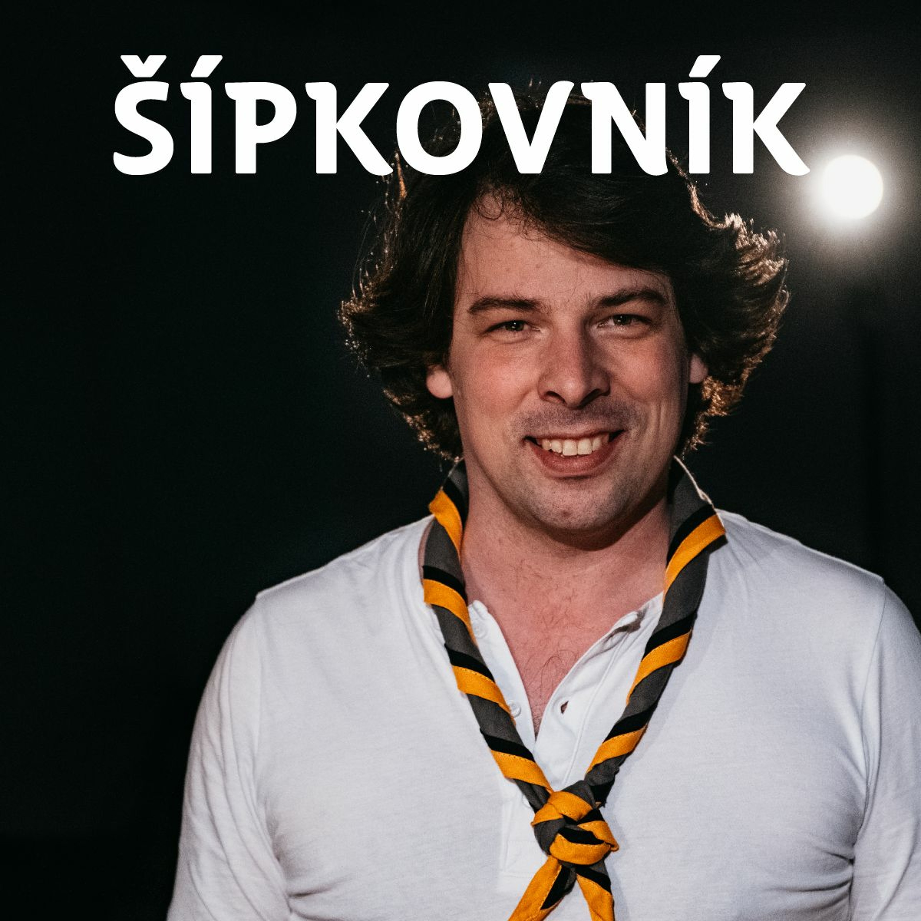 Skautský institut