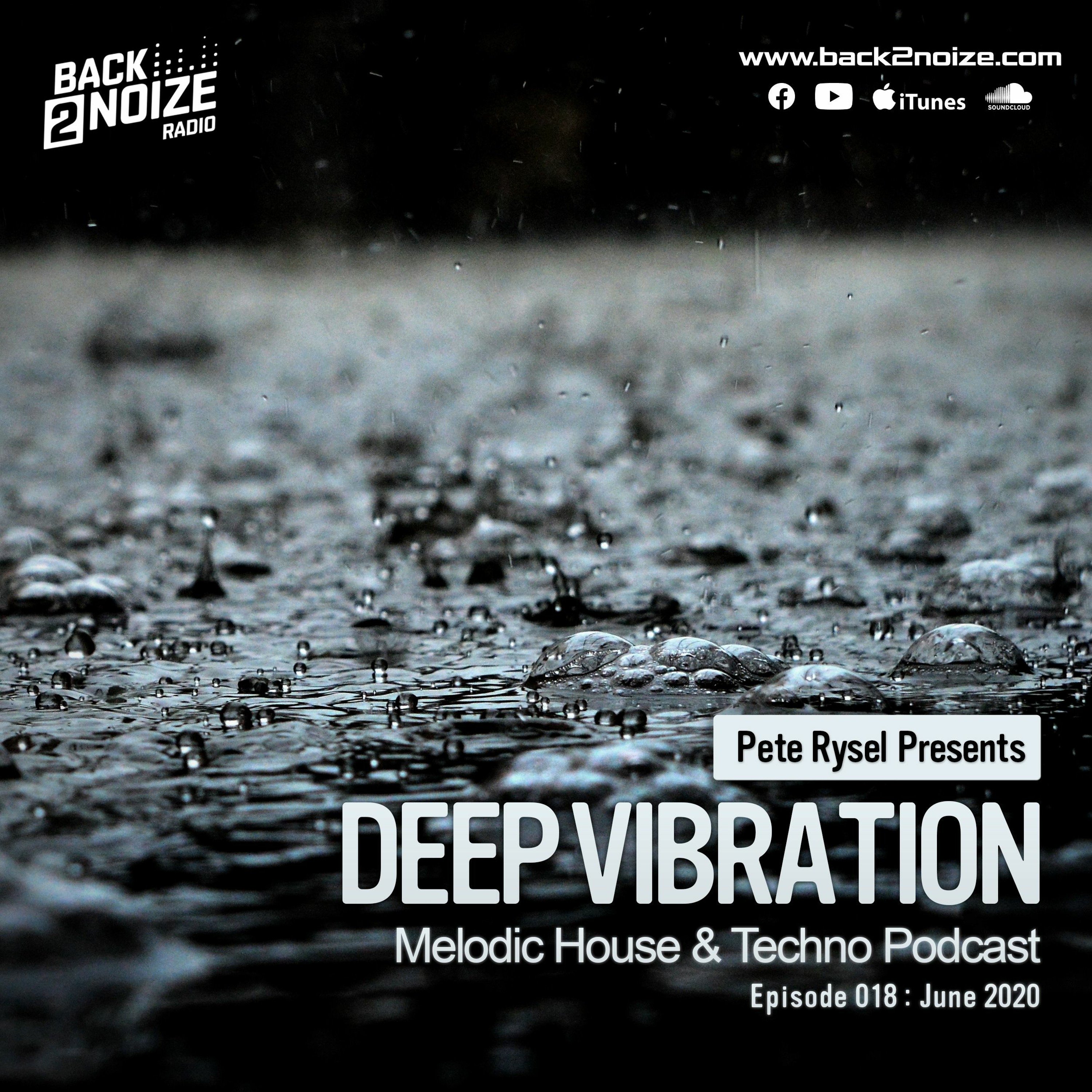 Pete Rysel - Deep Vibration Episode 018 (June 2020)
