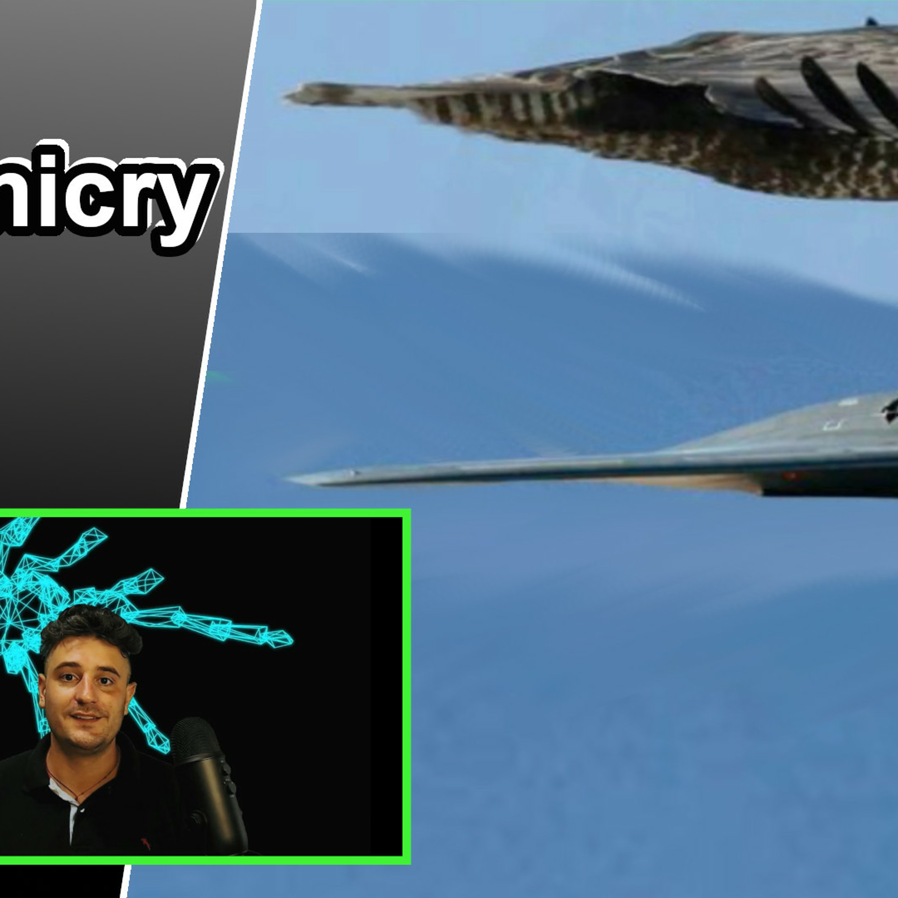 Biomimicry 101 | Innovation inspired by nature (10 Biomimicry exampls)