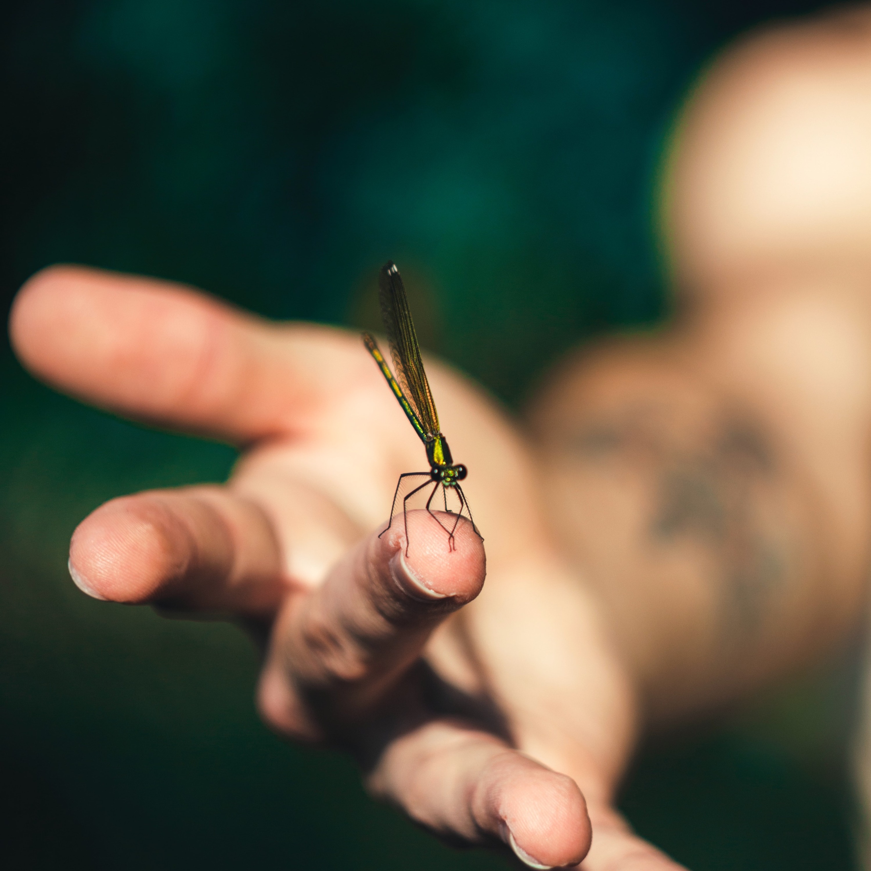 Your Life Is Your Life: What Nurtures You?