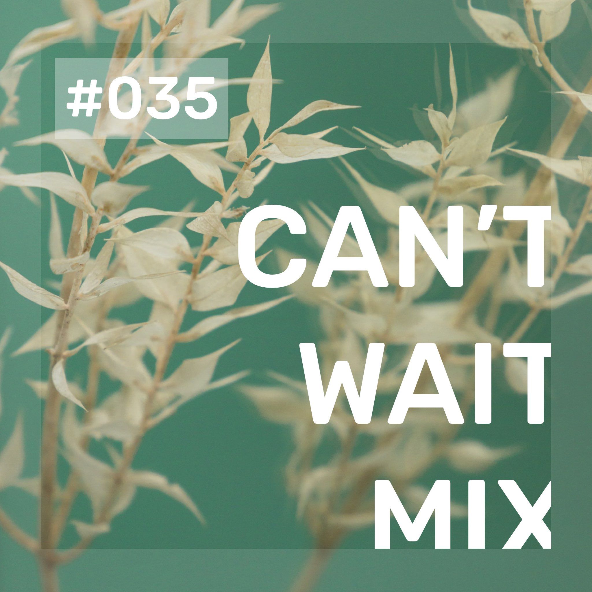 Can\'t Wait Mix