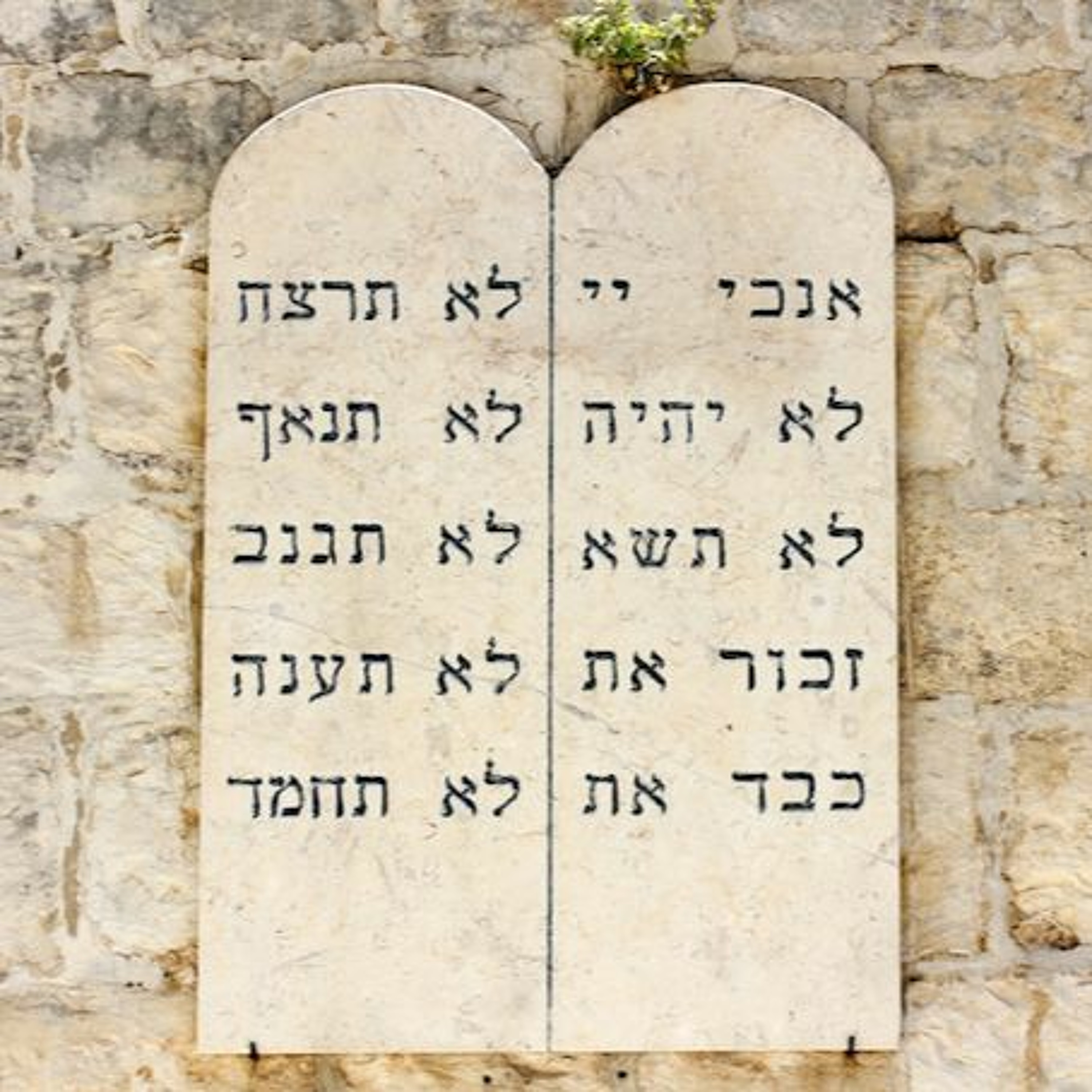 Is Halakhah Against the Torah? (2)