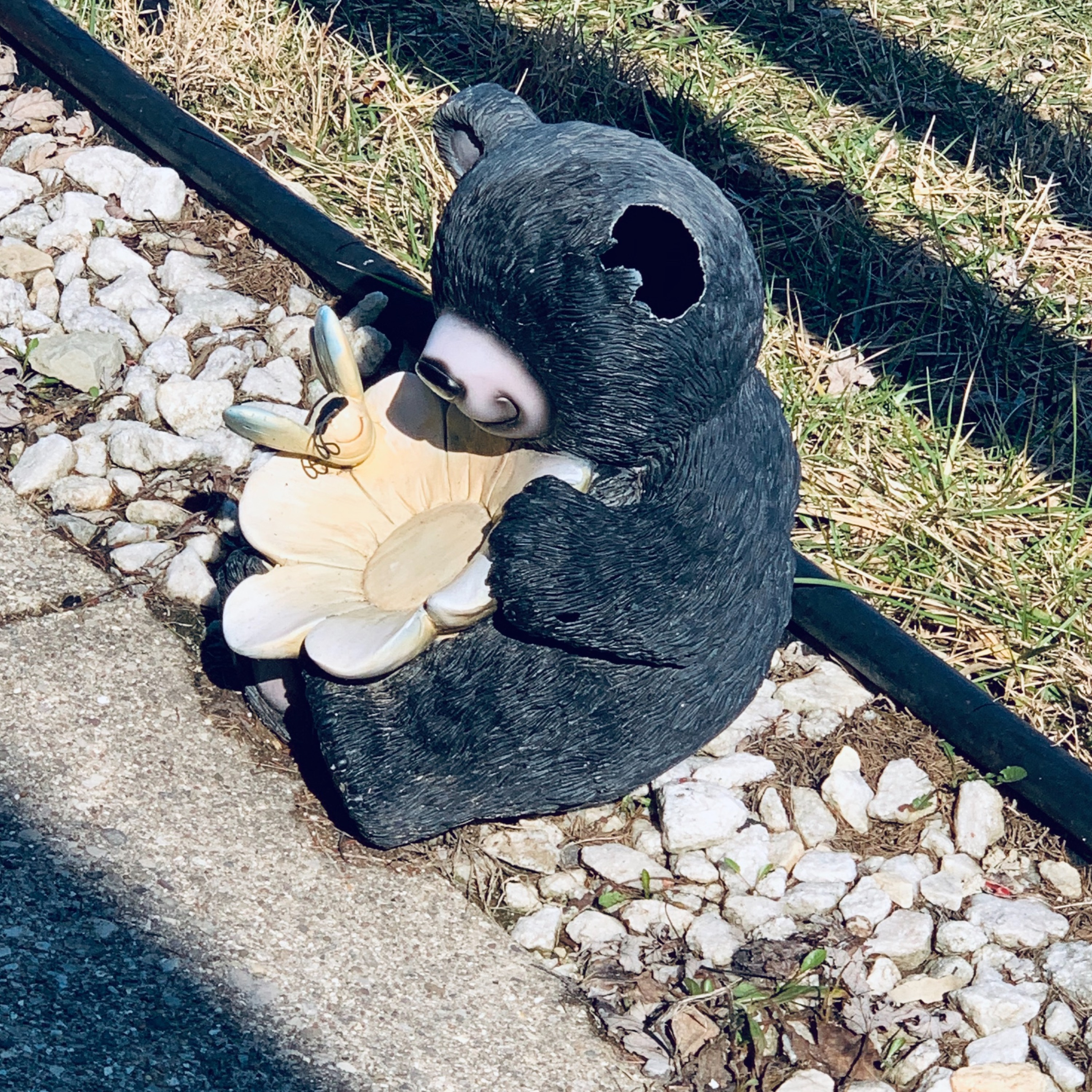 My Neighbor Gary