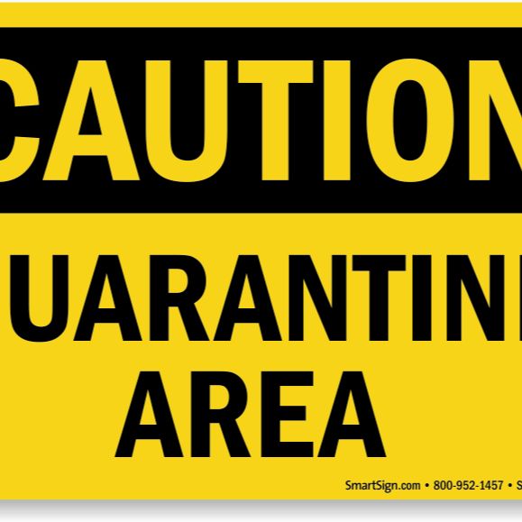 Episode 150: Quarantine Tips