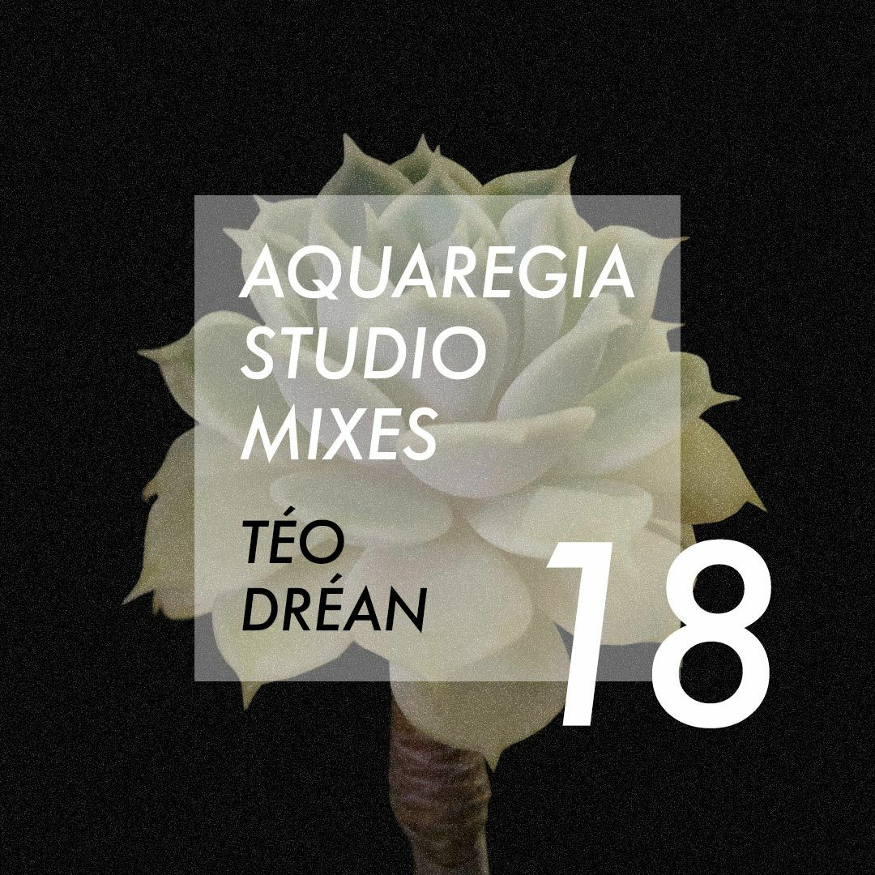 Aquaregia Studio Mixes