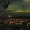 Migrate