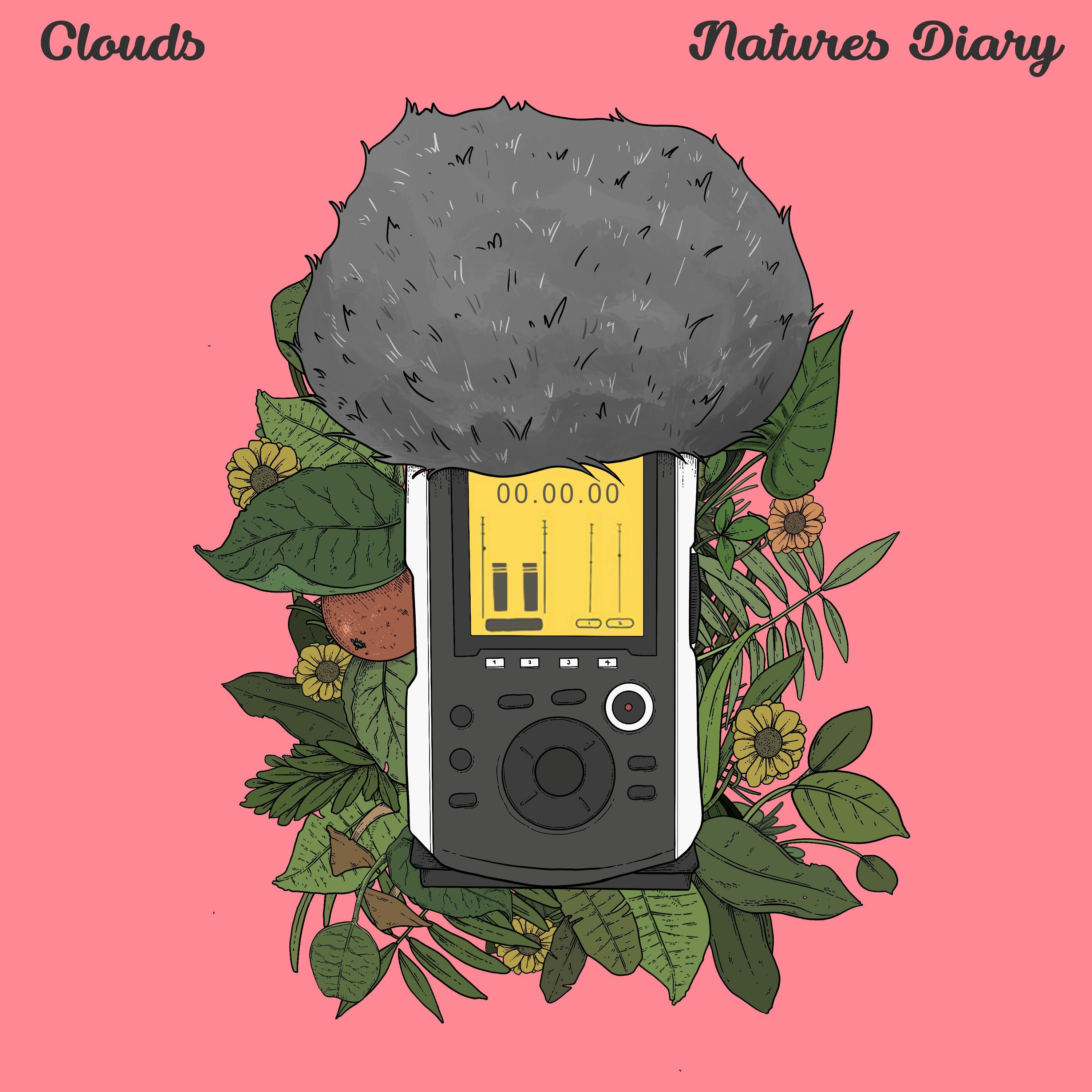 Clouds - Kirby's Flute