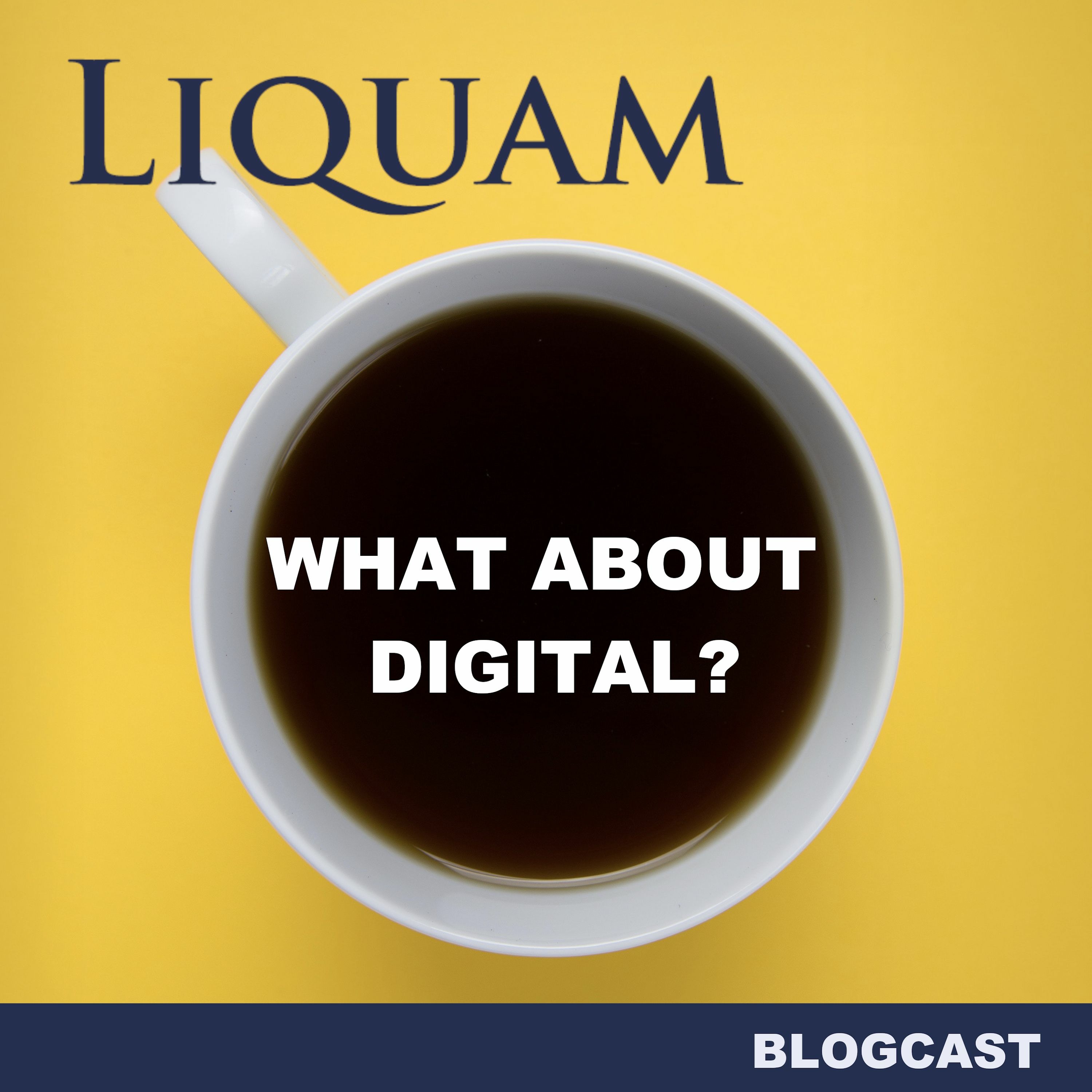 Liquam Blogcast #19 - Digital Due Diligence - wieso, weshalb, warum?