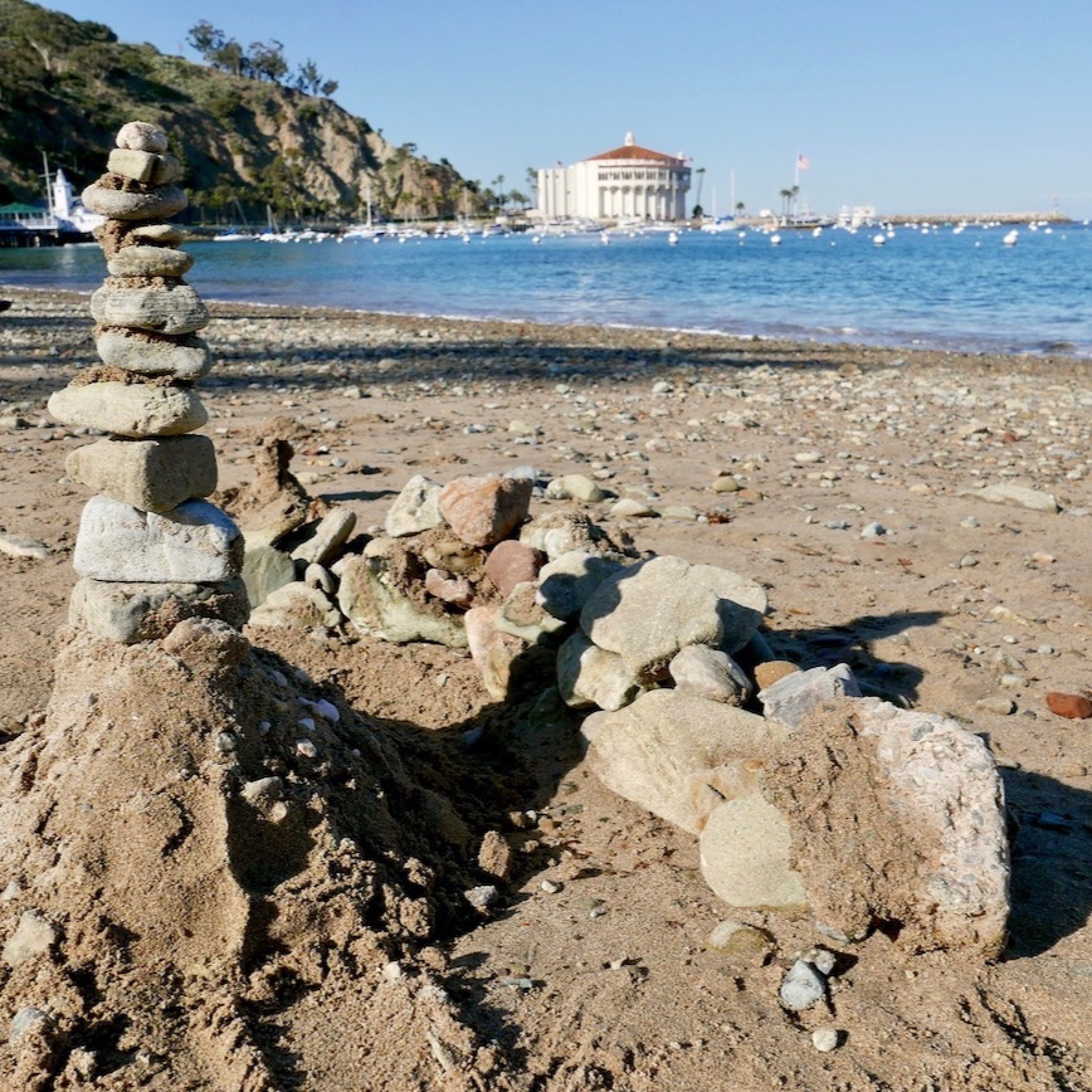 Ep. 36: The mysteries of Catalina and coronavirus' food for thought