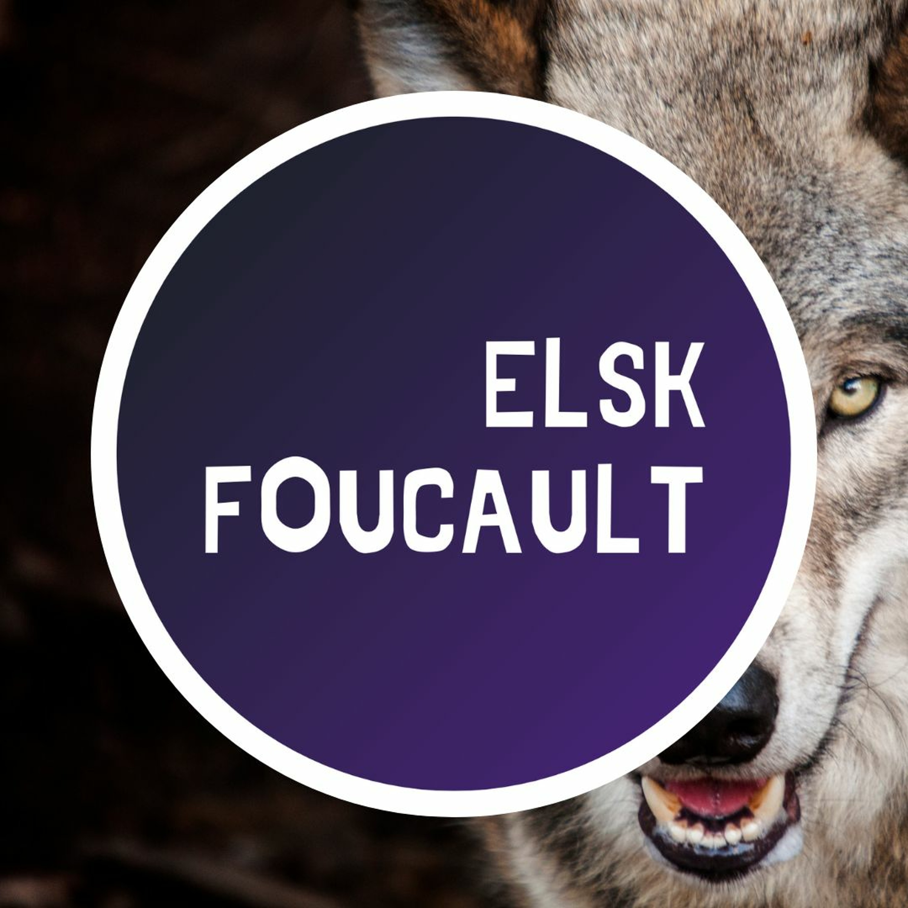 Elsk Foucault