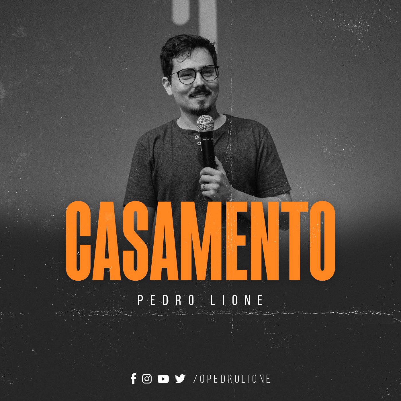 Tudo que você precisa saber sobre casamento - Pedro Lione