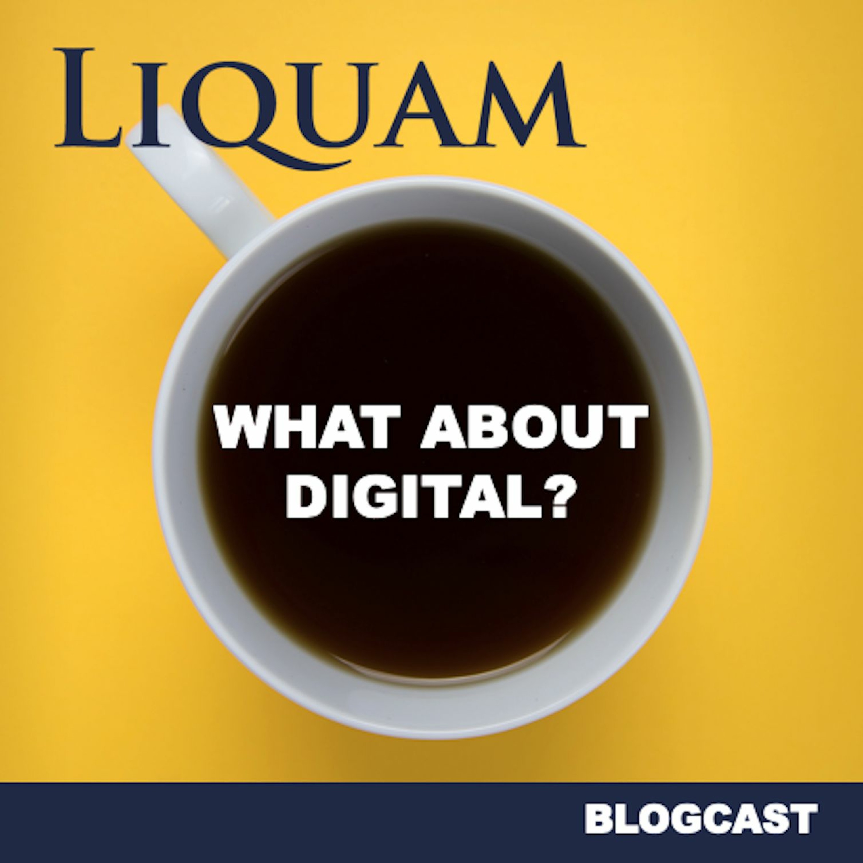 Liquam Blogcast #20 - Digitalisierung und Nachhaltigkeit - ein Widerspruch?