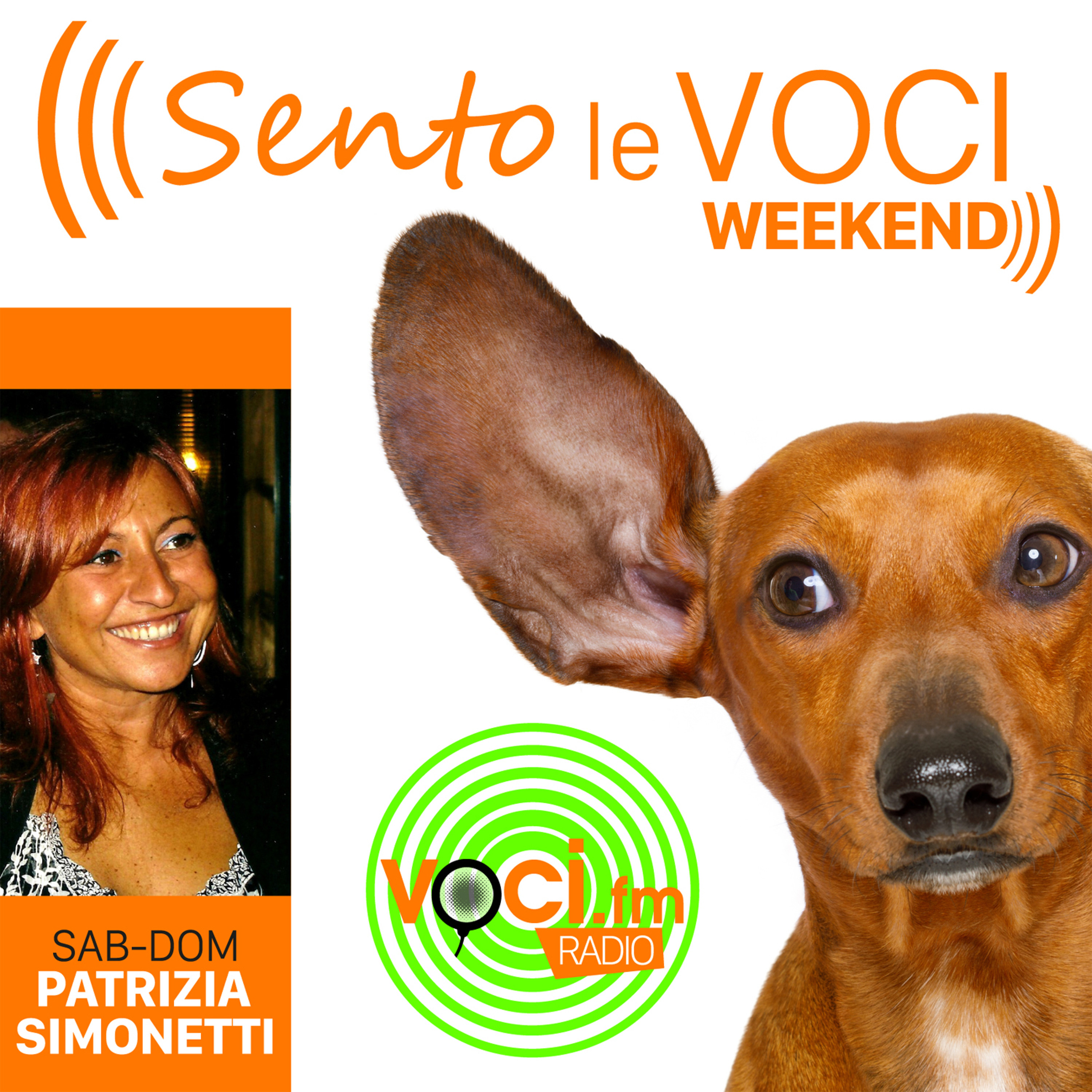 Voci.fm #sitodellevoci
