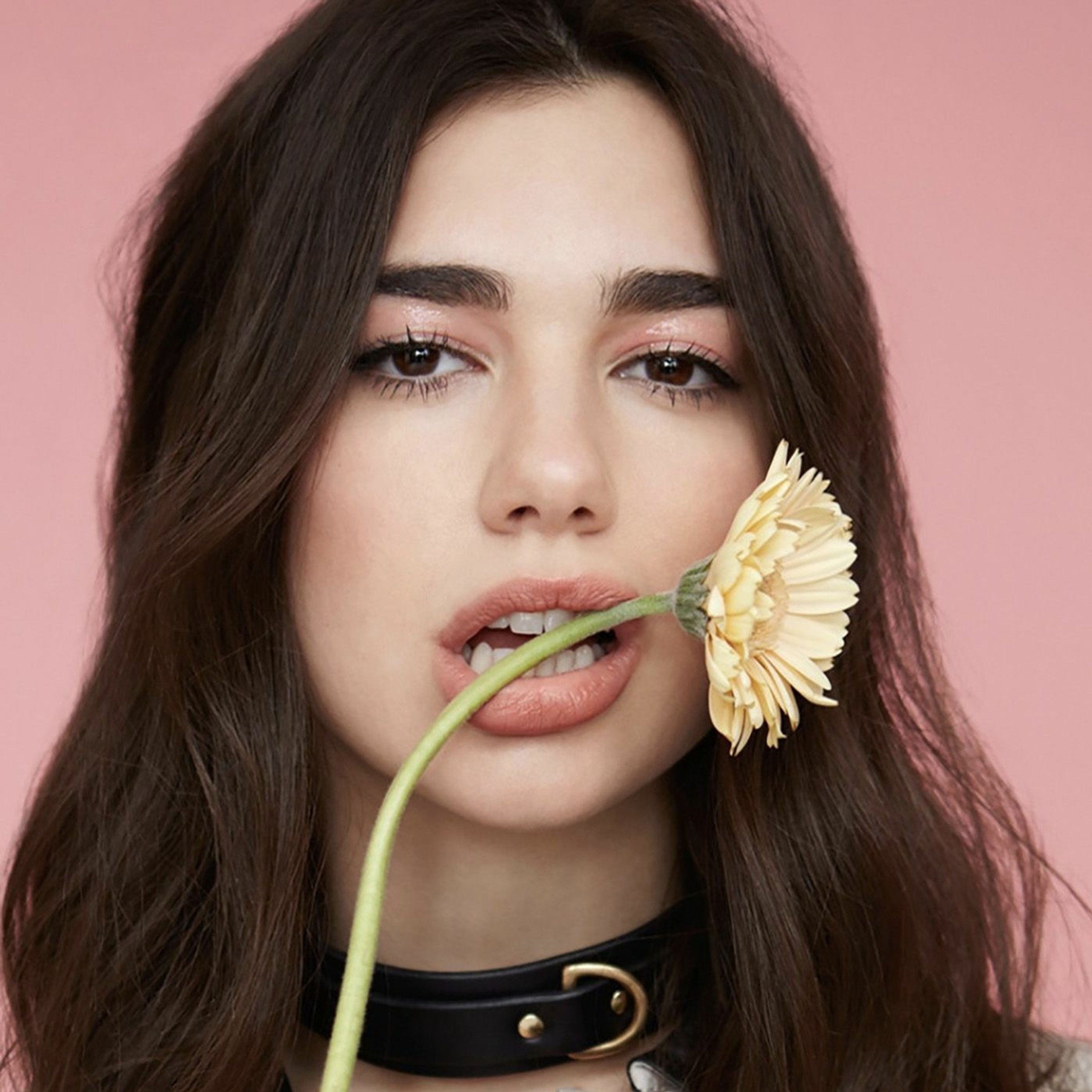 Dua Lipa - Veni, Vidi, Vici