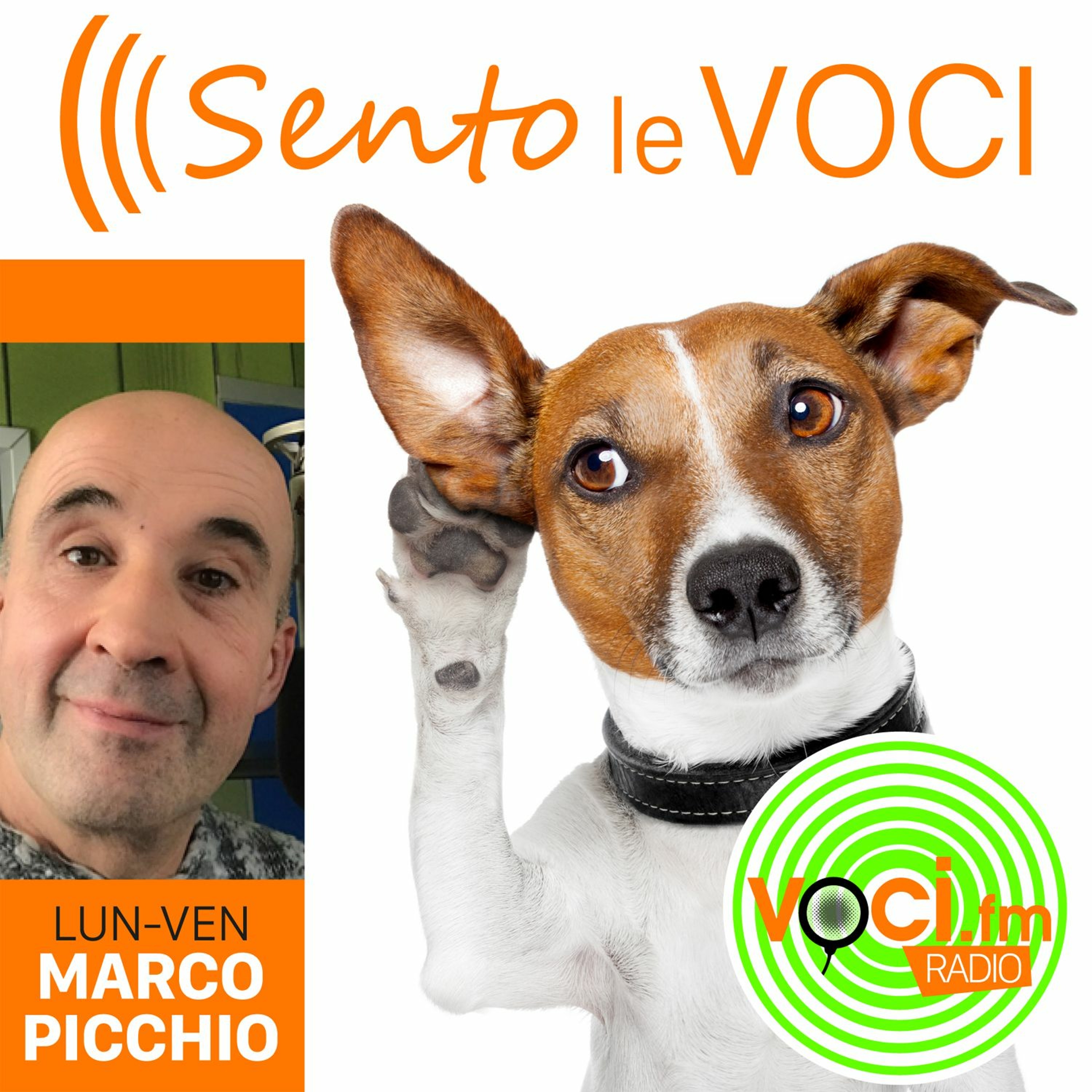 Voci.fm #sitodellevoci