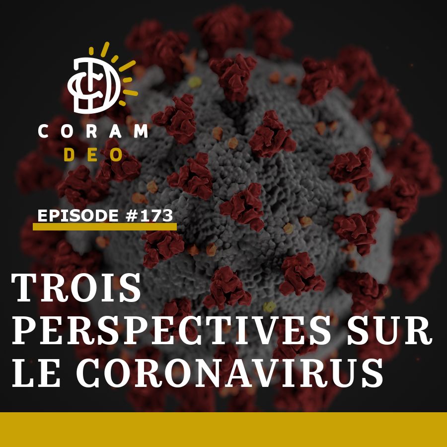 #173 - Trois perspectives sur le coronavirus
