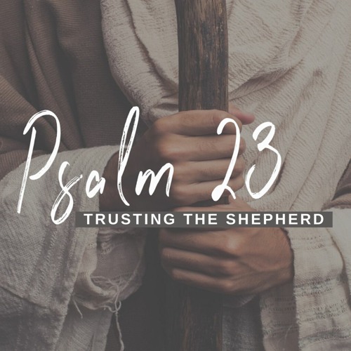 Psalm 23 (Week 6) - Goodness and Mercy