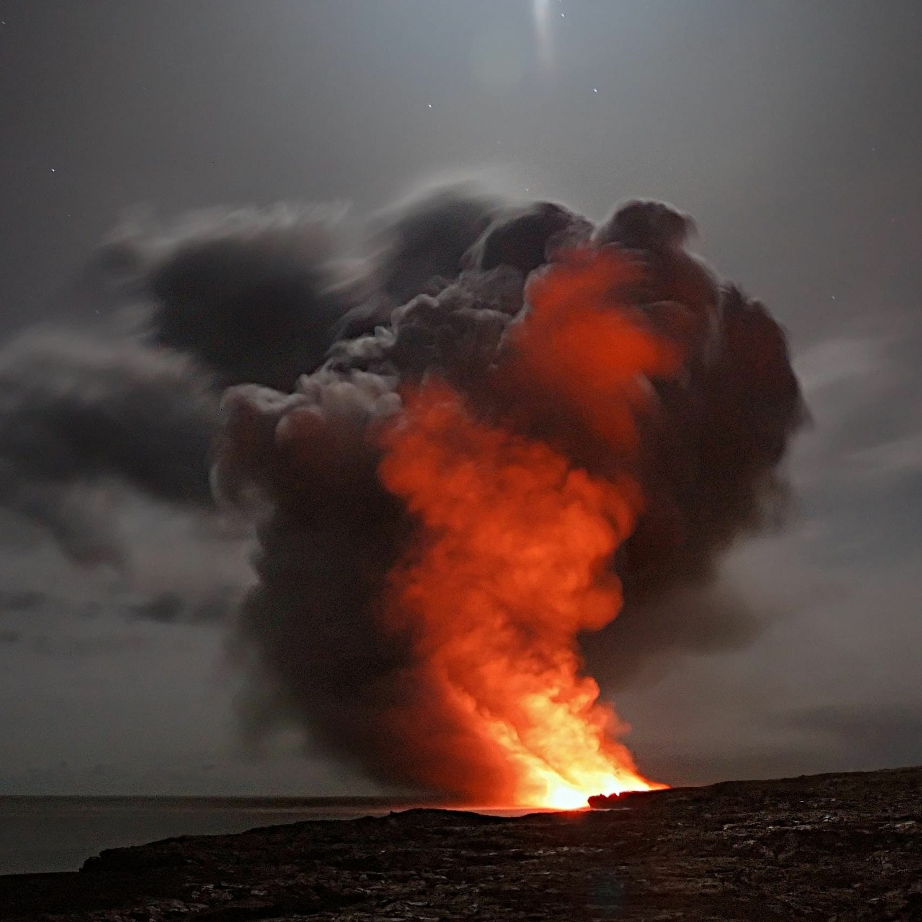 ★ FEATURED Are We the Next Dinosaurs? by Sophia