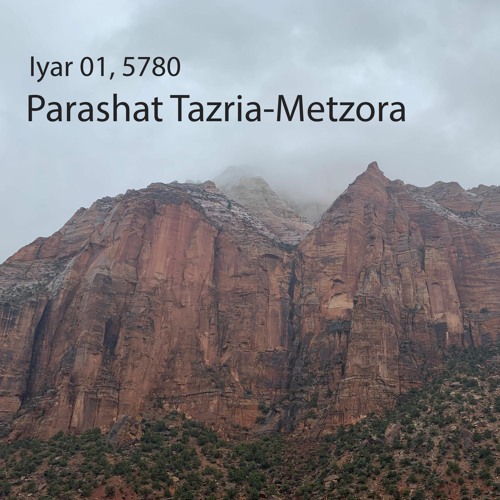 AE: Torah for the Earth - Tazria-Metzora