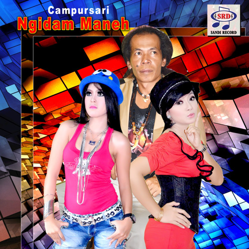 Download lagu ojo dileboke disek