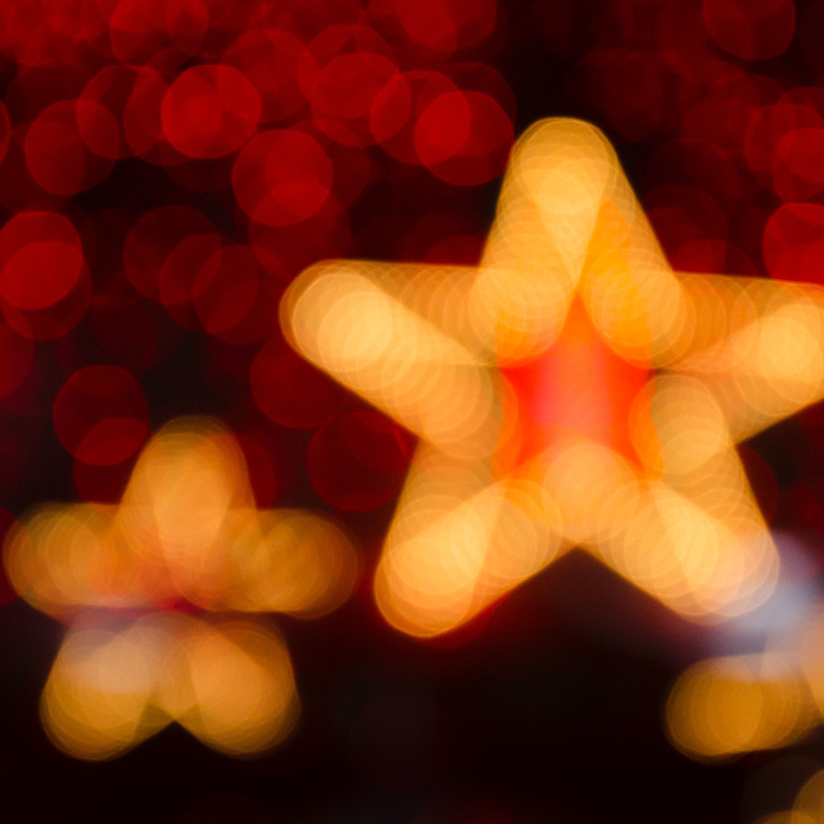 ★ FEATURED Salvation by Alejandra