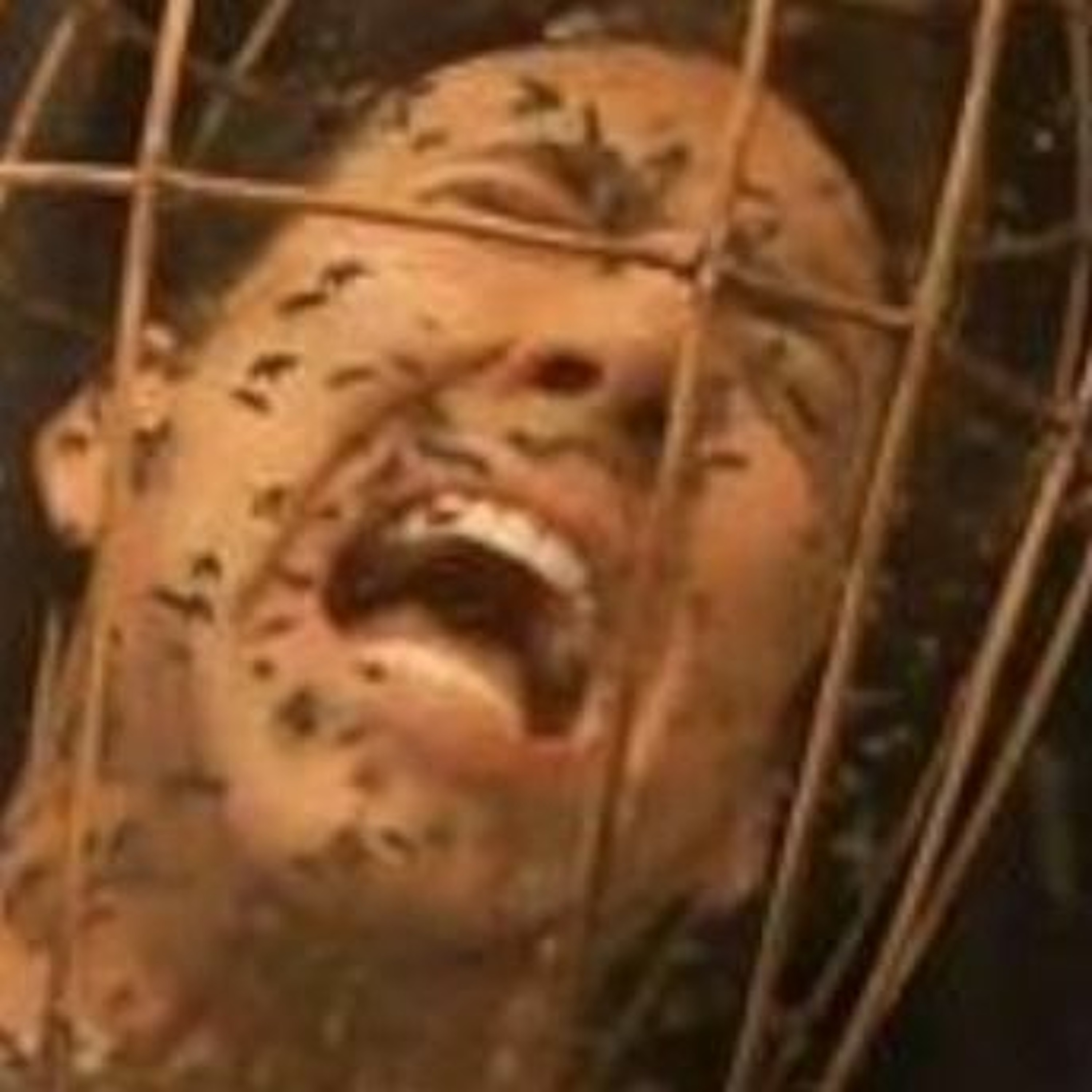 What A Beautiful Podcast! EP206 - Not The Bees!!!