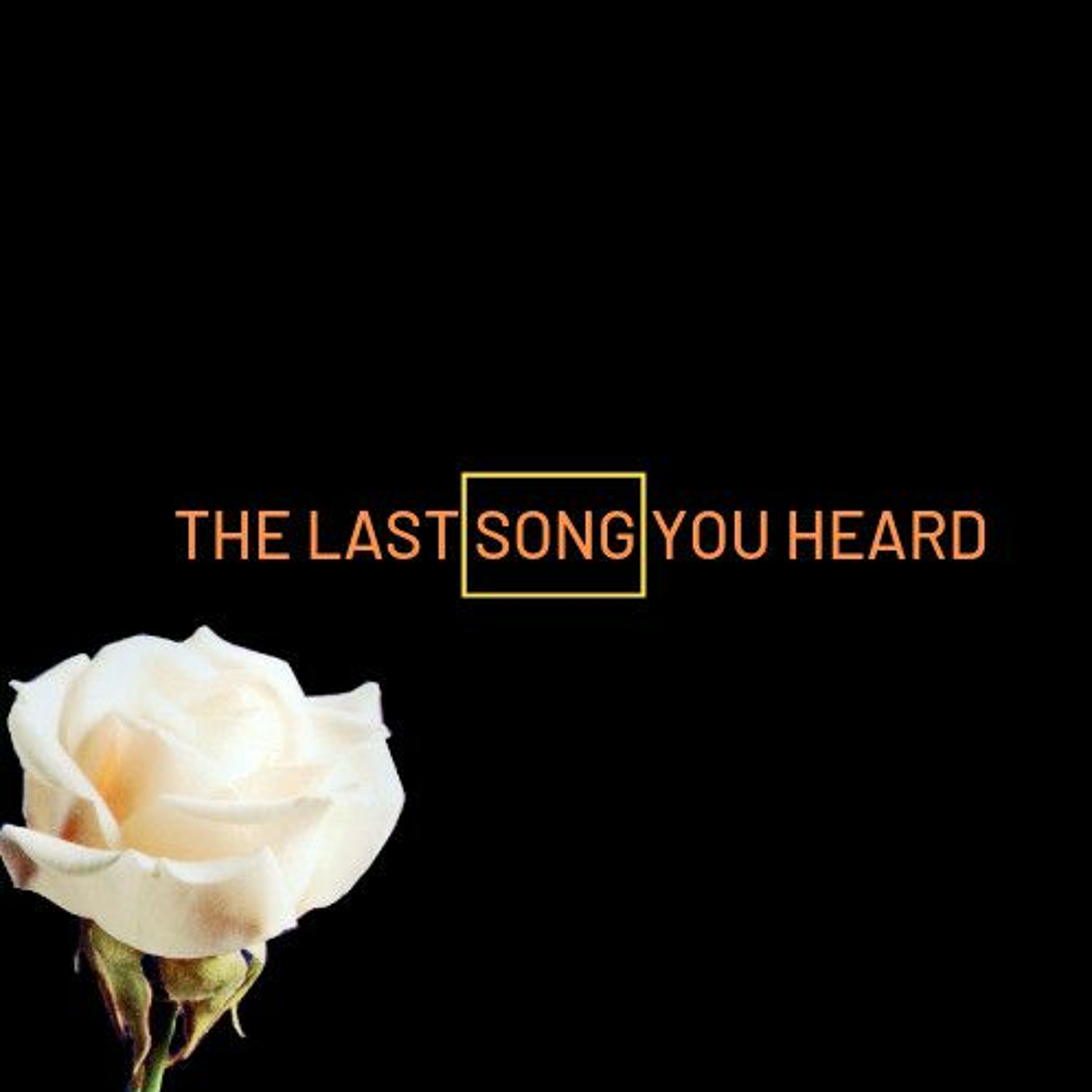 The Last Song You Heard