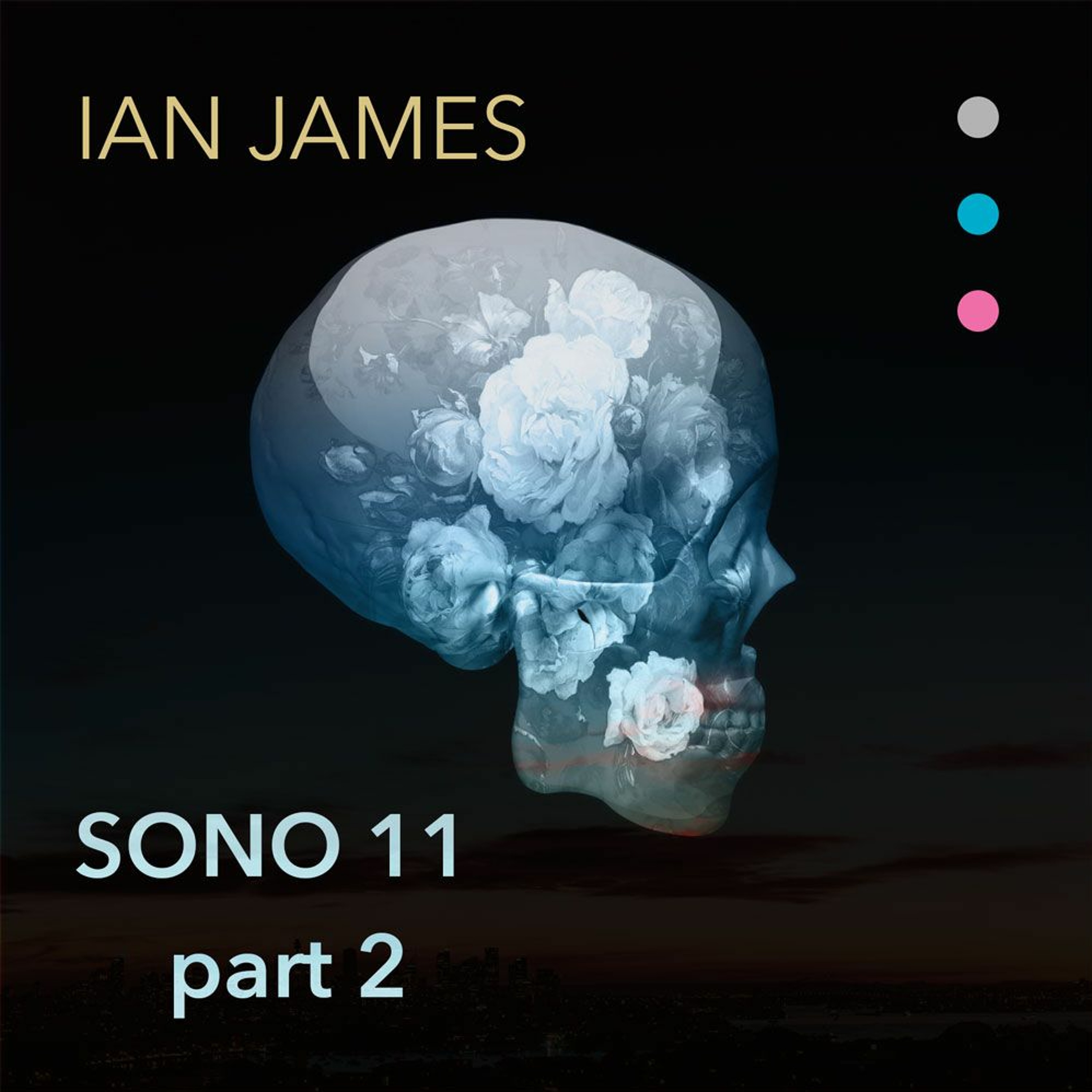 SONO 11 - Part 2
