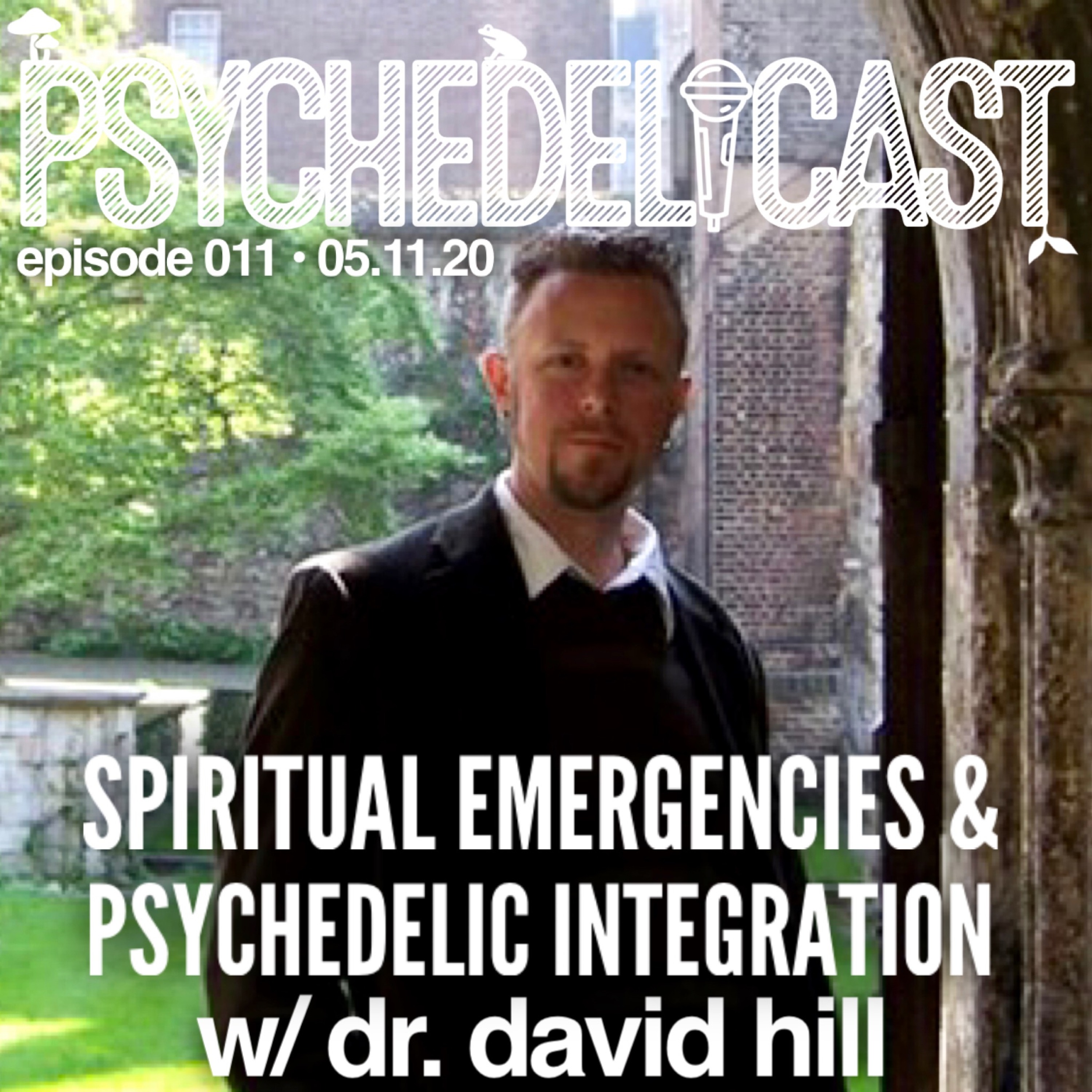 011 Spiritual Emergencies and Psychedelic Integration w/ Dr. David Hill