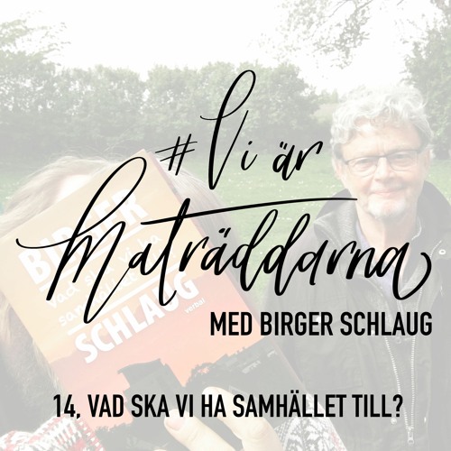 14. Vad ska vi ha samhället till? Med Birger Schlaug