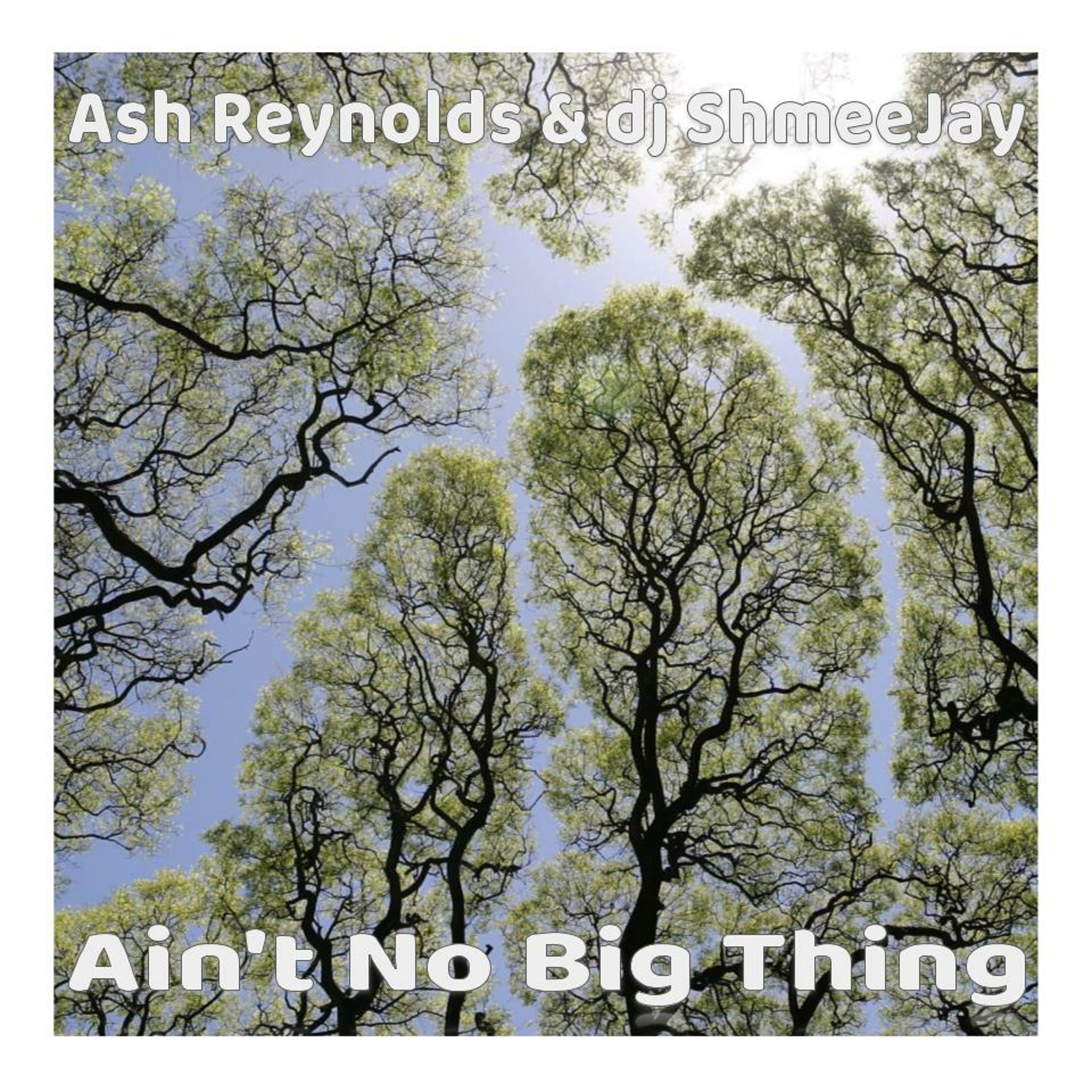 Ain\'t No Big Thing Radio Show
