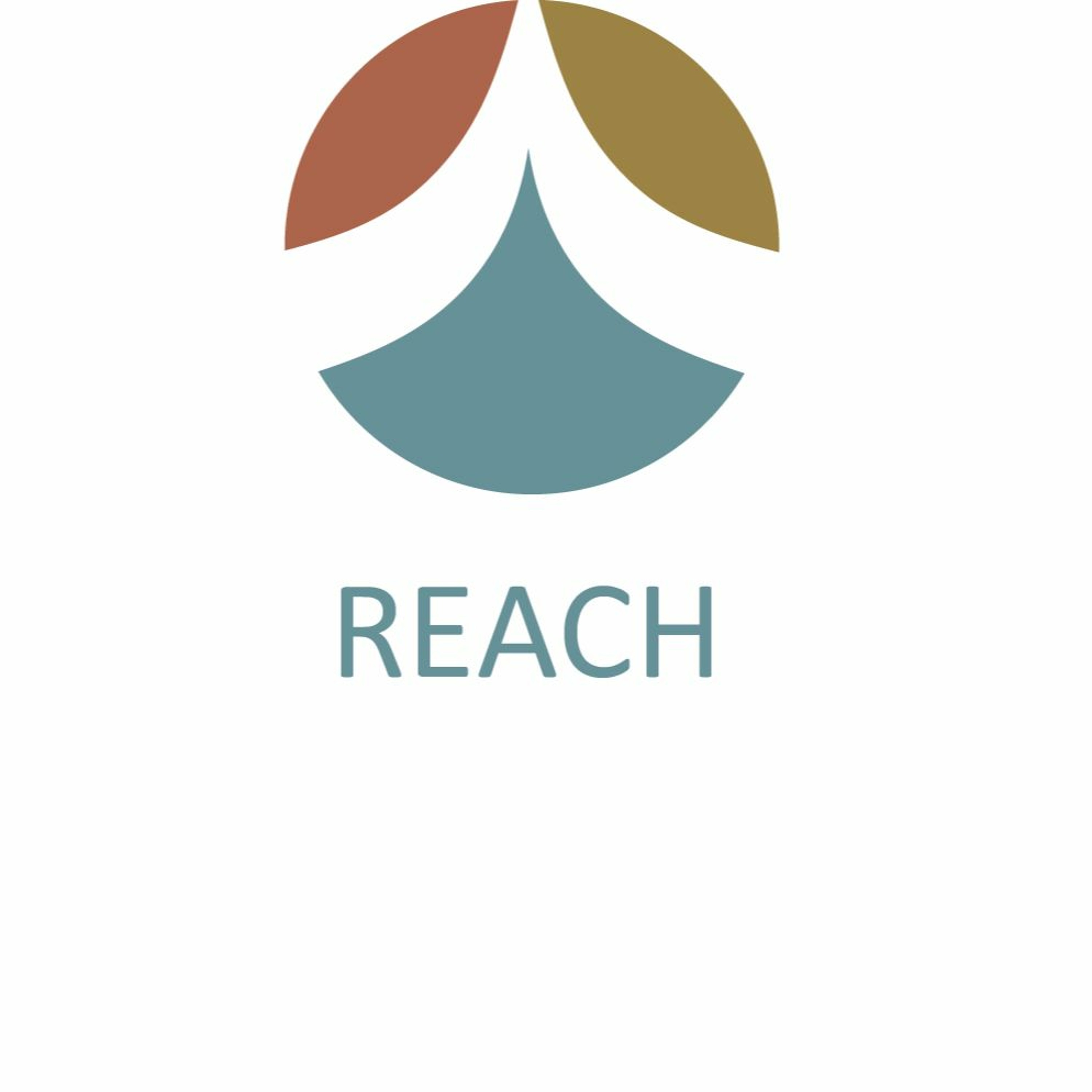 Reach Update 2.23.20