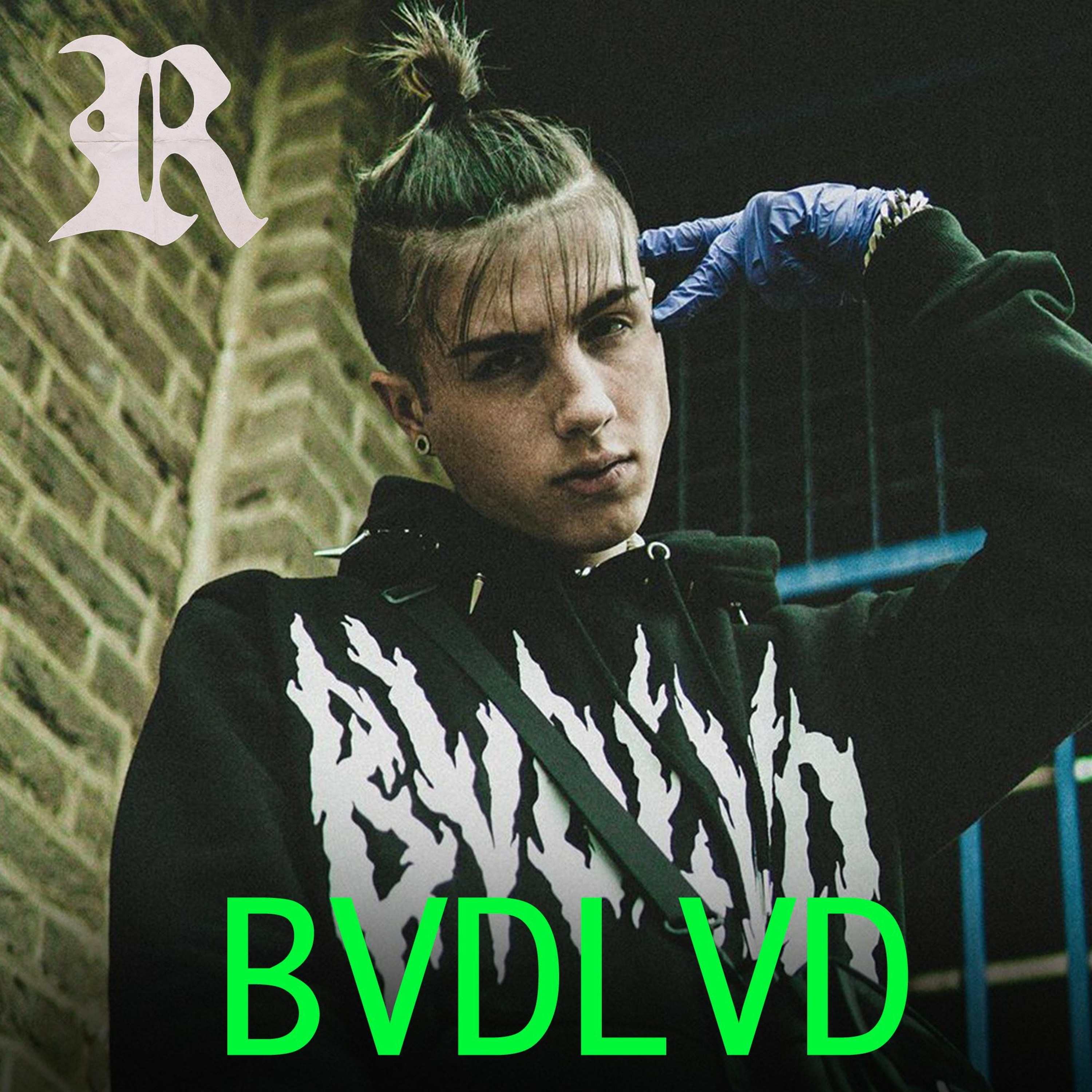 The BVDLVD Interview