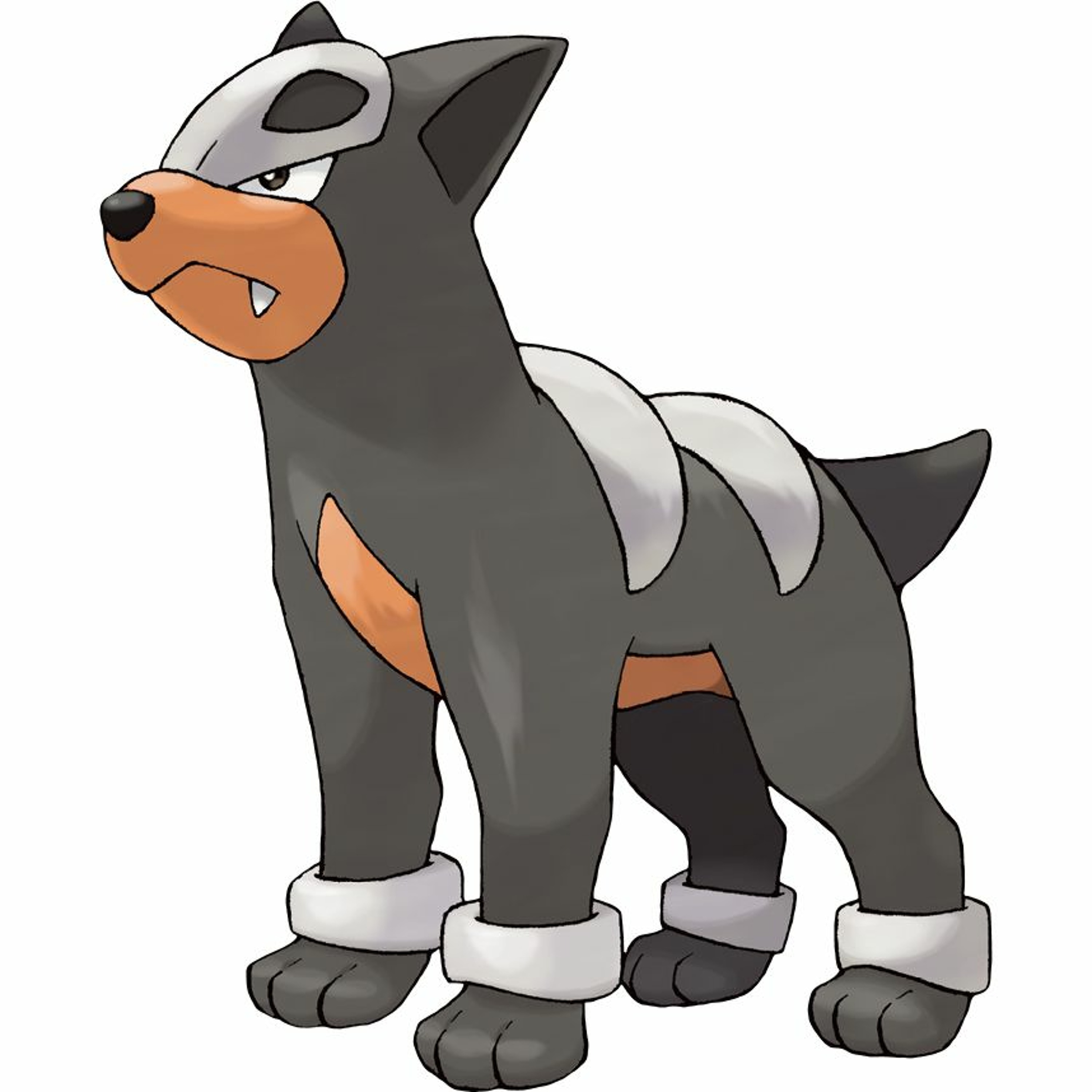 228: Houndour and Family