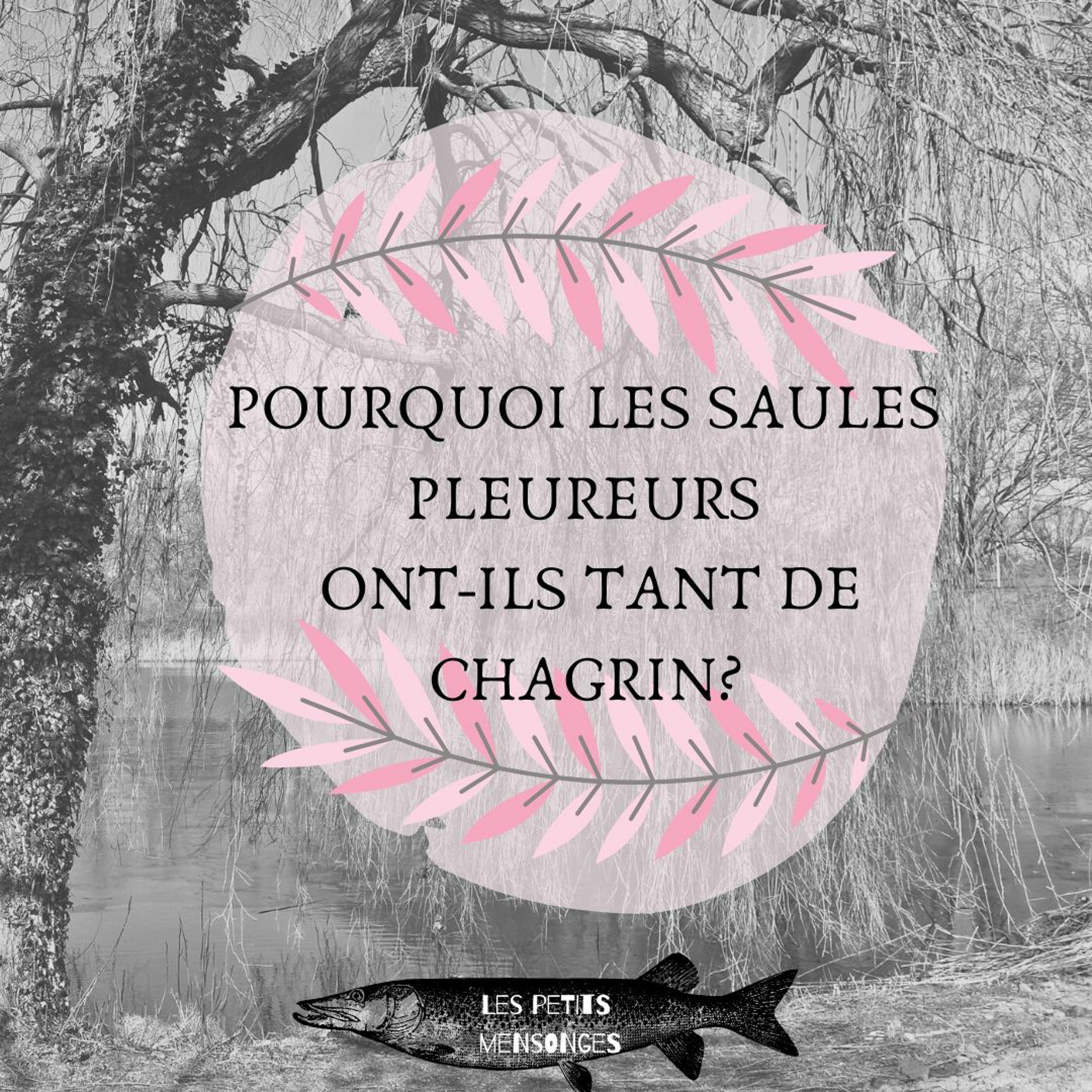 Les Petits Mensonges
