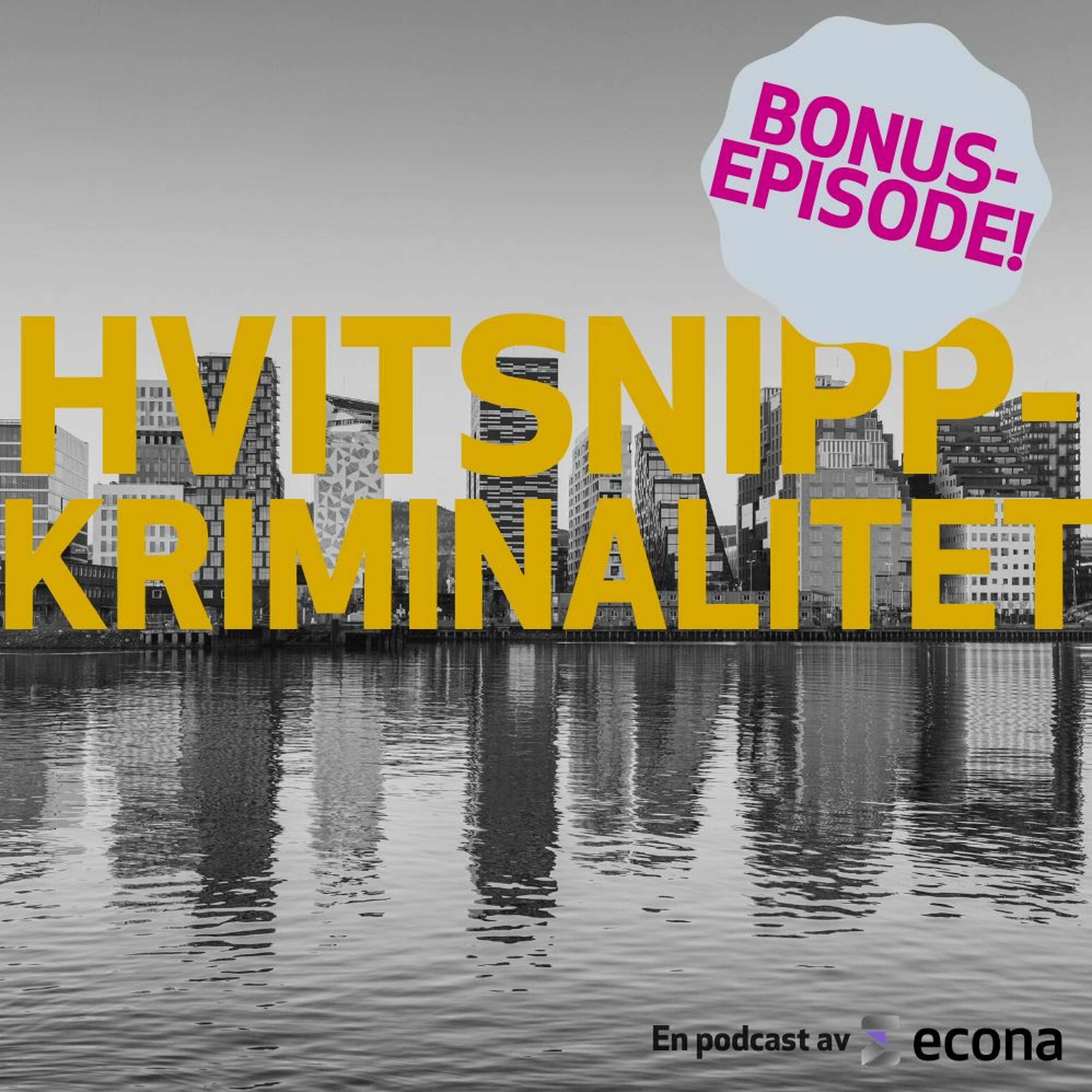 Bonusepisode: Hvordan varsler du om økonomisk kriminalitet?