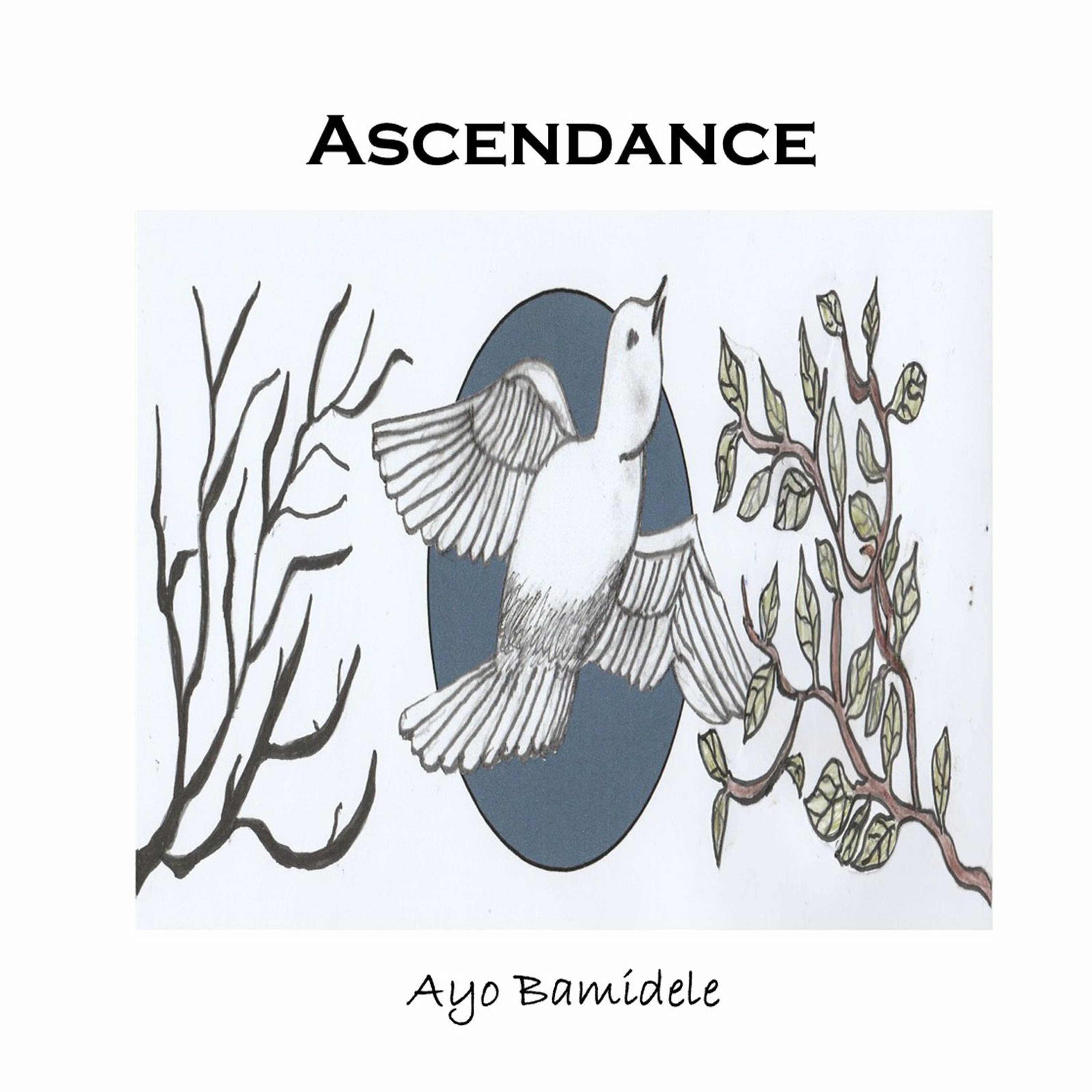 Ayo Bamidele Acoustic Soul & Folk