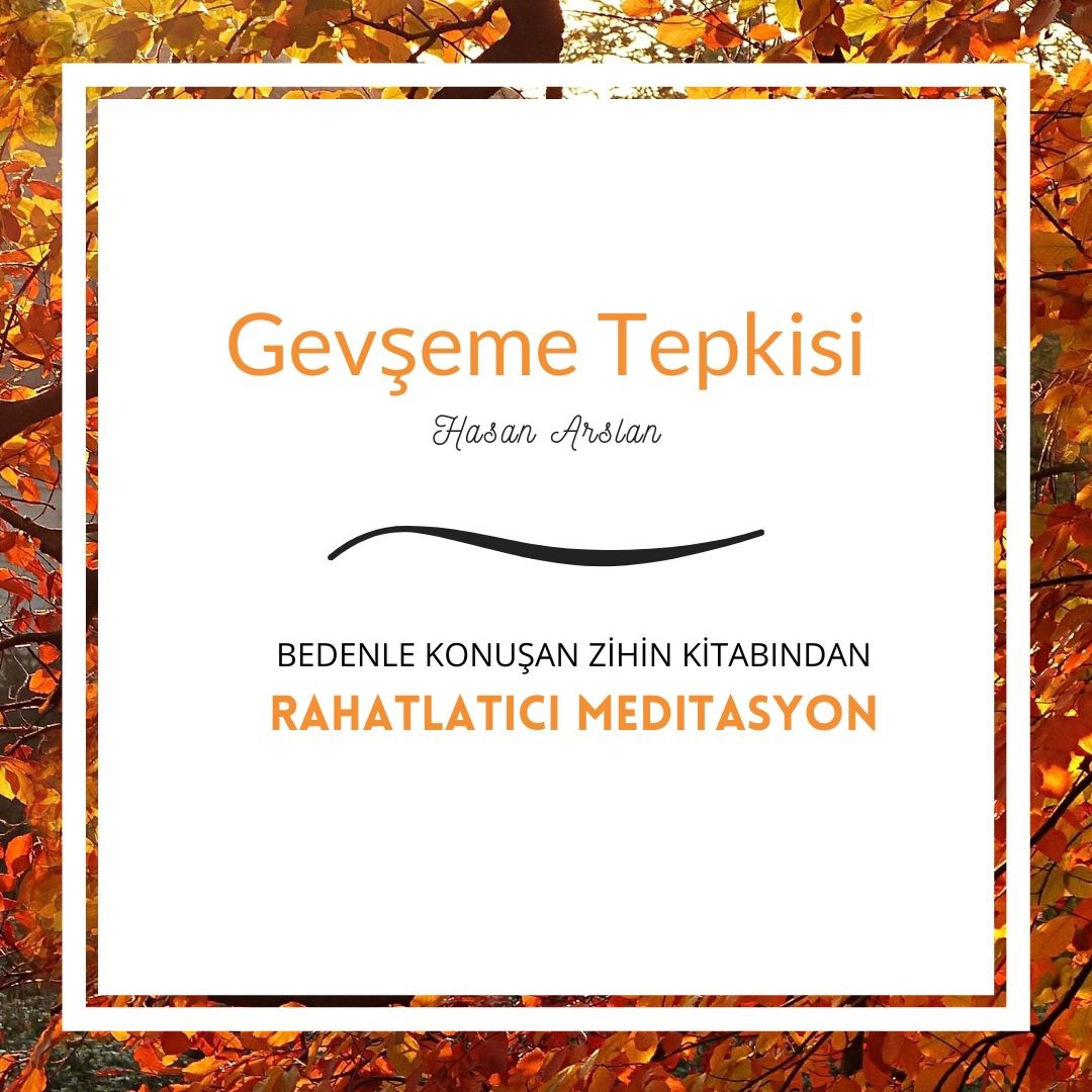 Hasan Arslan Pskarslan Twitter
