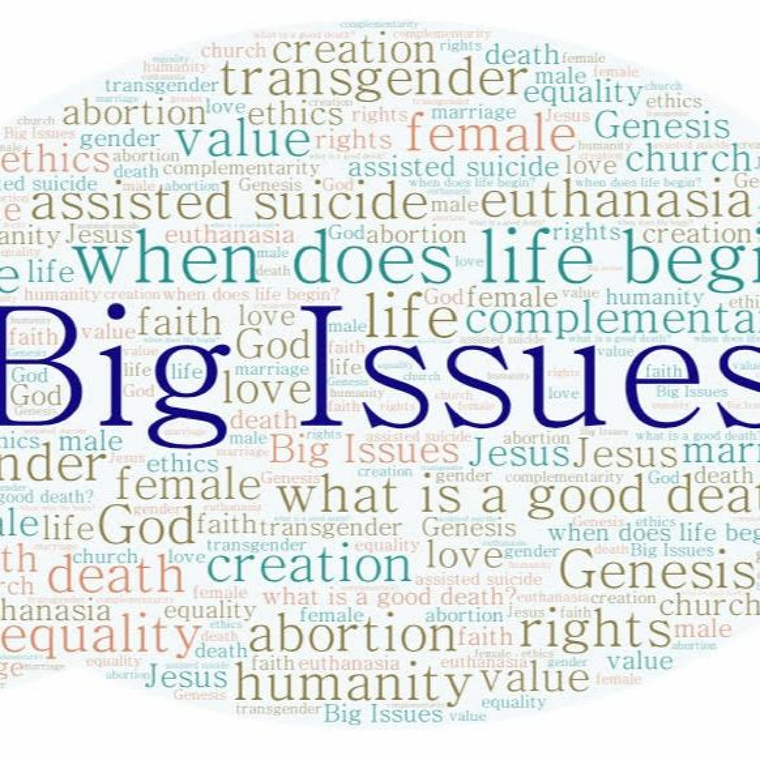 Big Issue: The beginning of life - Genesis 1:26-28, Psalm 139
