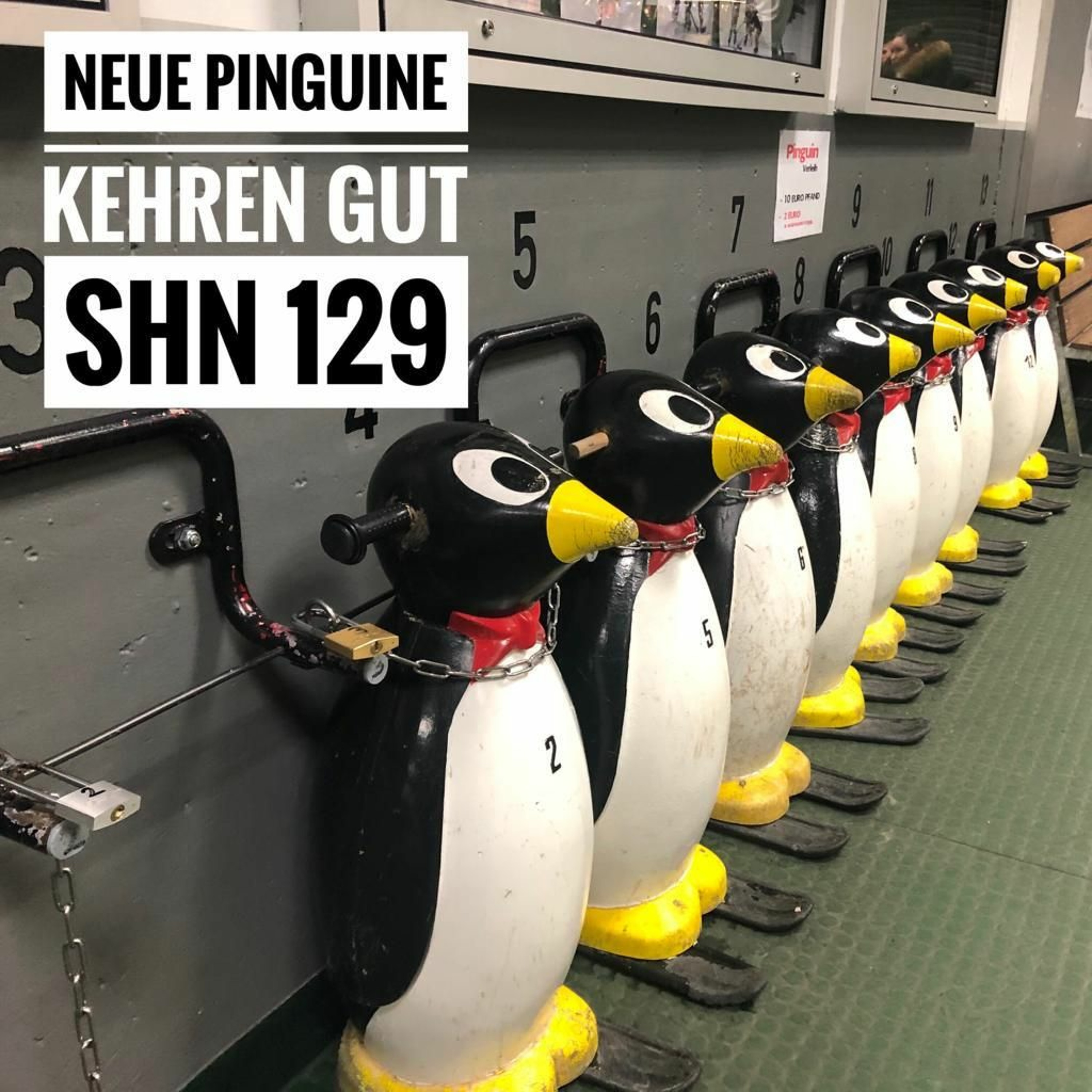 # 129 Neue Pinguine kehren gut