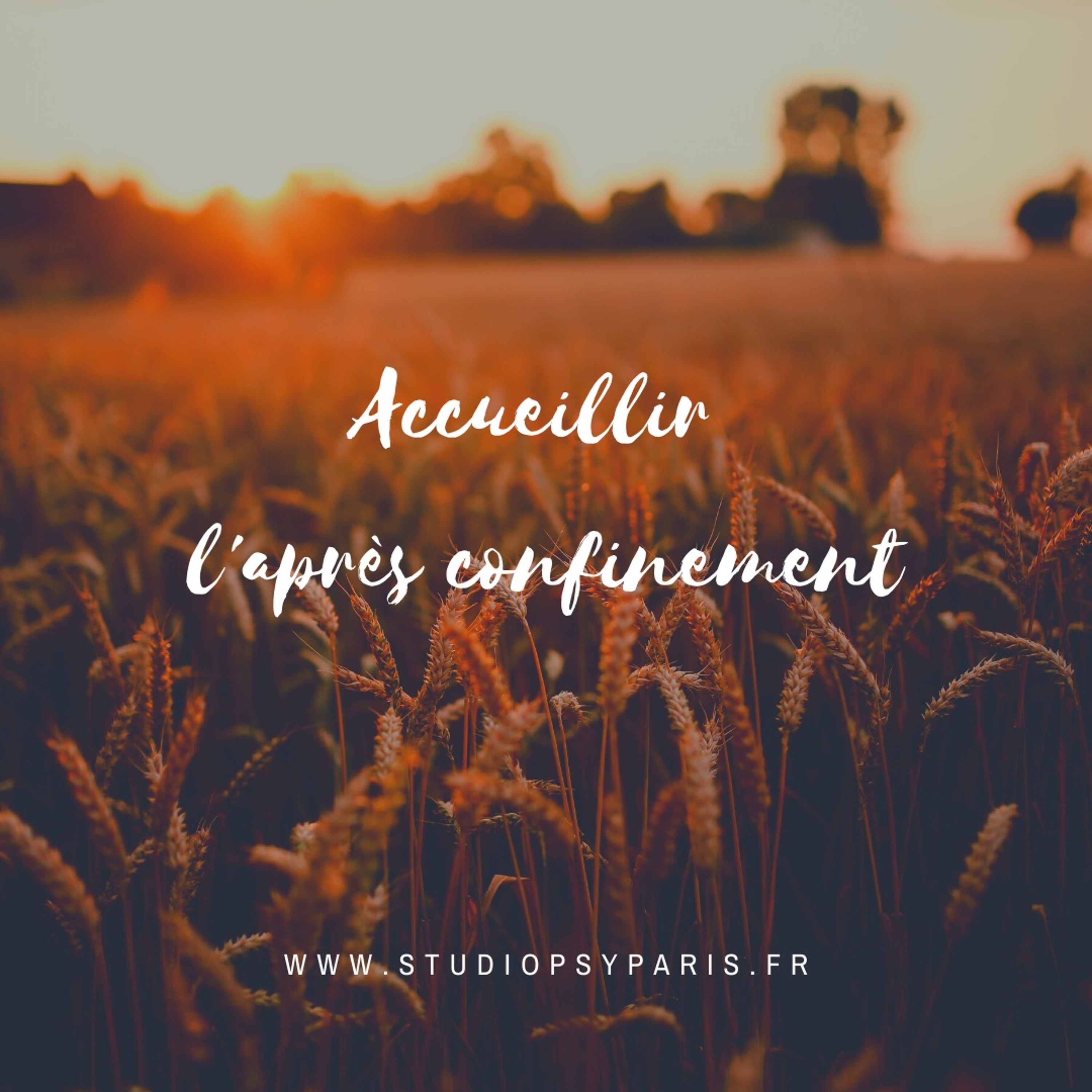Studio Psy Paris - Accueillir L'après confinement
