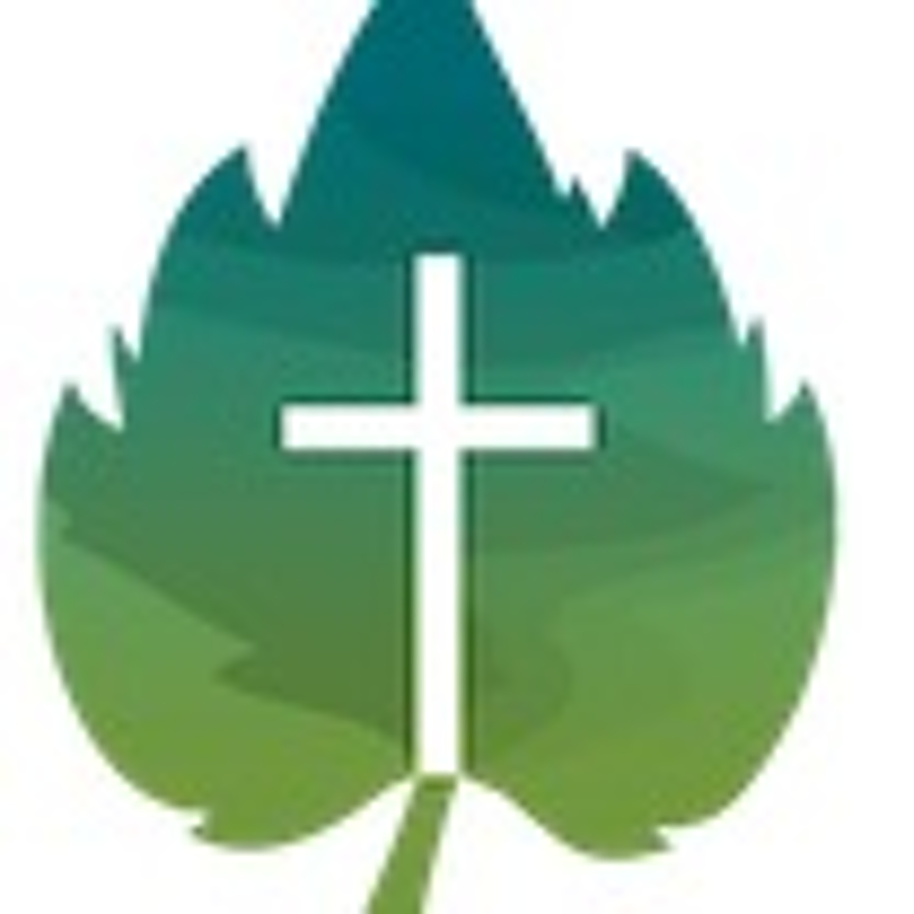 The Vine Baptist Church Sermons